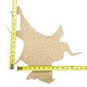 Genuine Elephant Nonstock Project Pieces, 4.5-5.5 oz, 0.5-1.5 Sq Ft, Oatmeal / < 1 Sq Ft / Hide 1 | The Leather Guy