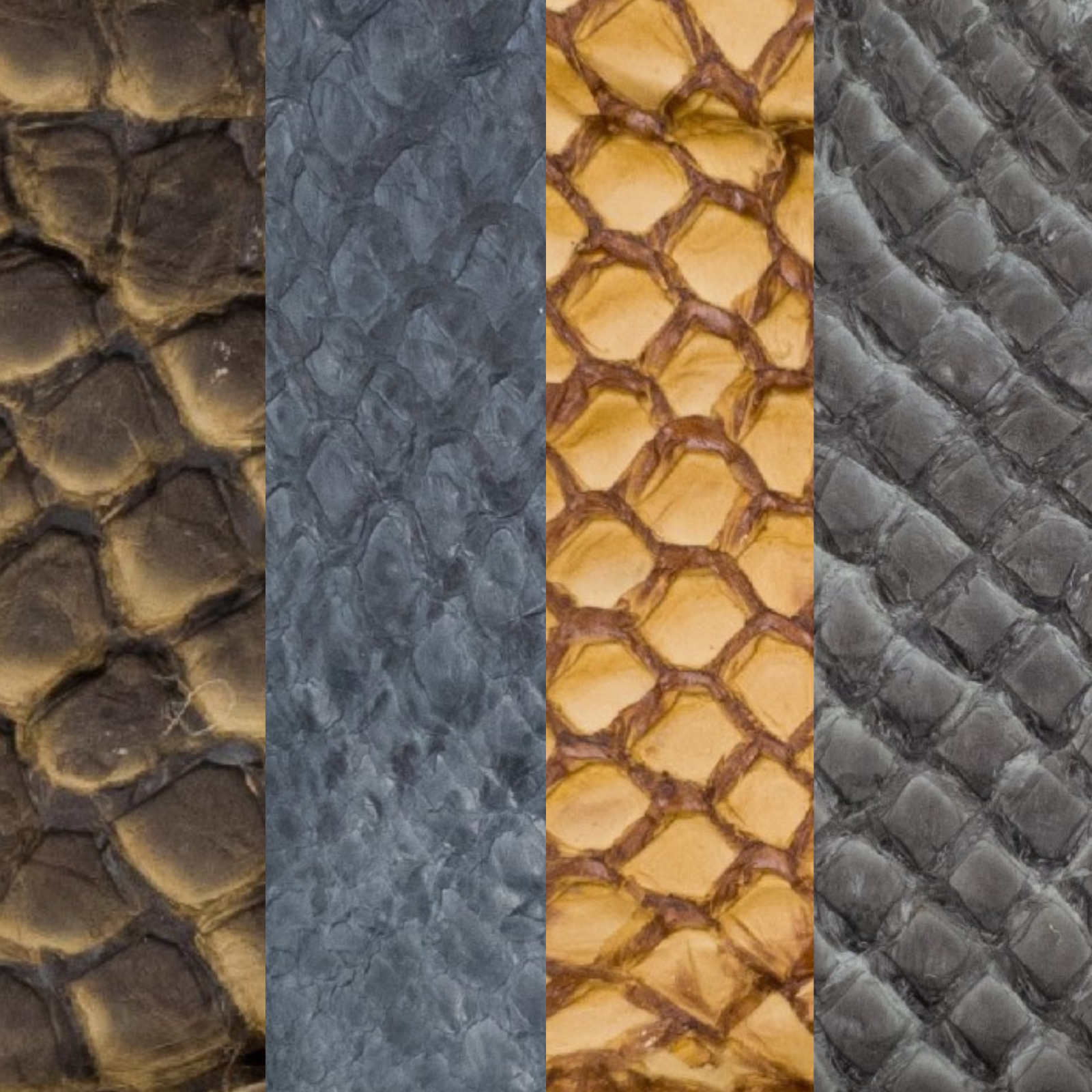 Pirarucu Amazon Bass Leather, Under 1 - 1 Sq Ft Project Pieces, | The Leather Guy