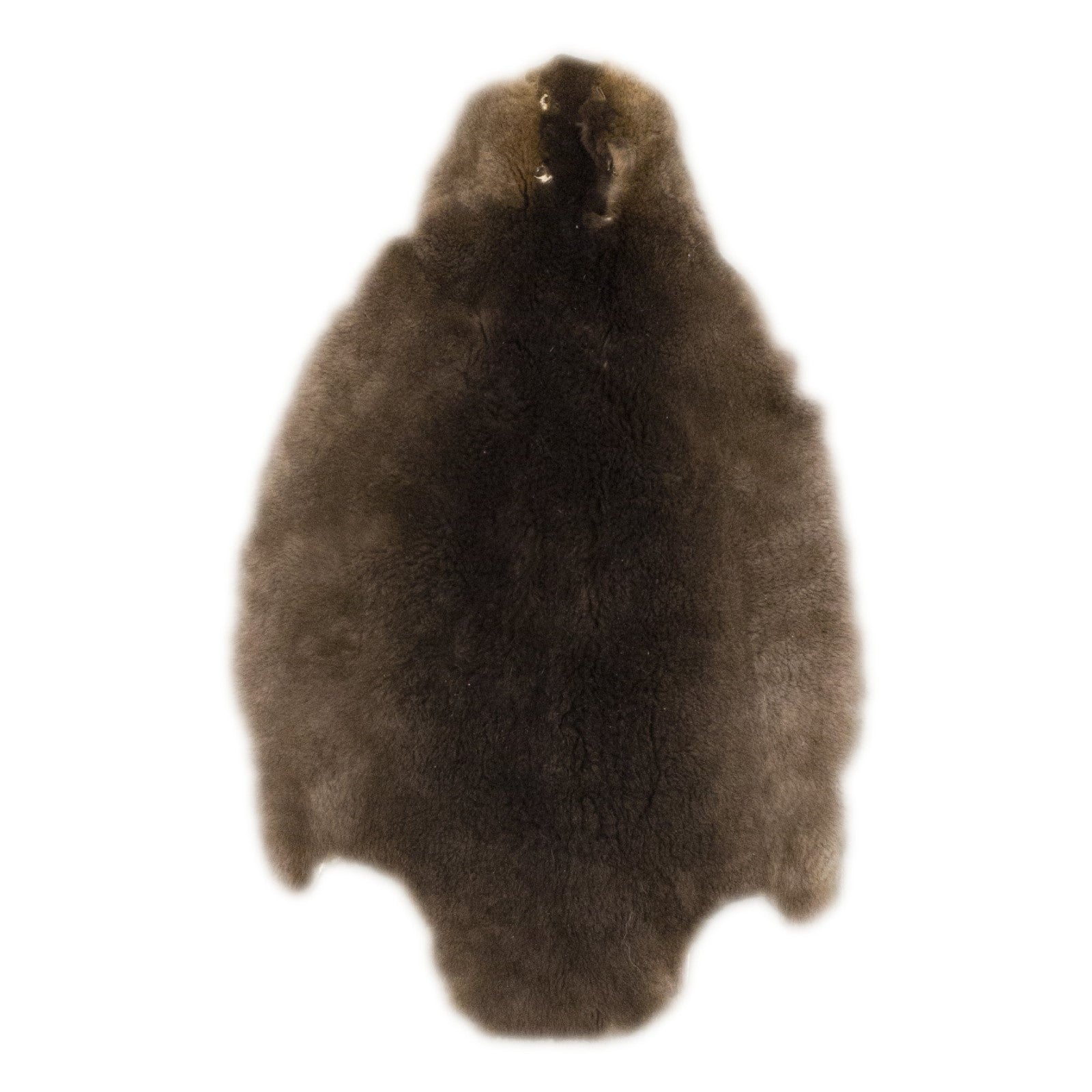 Otter Pelt Plucked and Sheared Natural -Low-grade,  | The Leather Guy