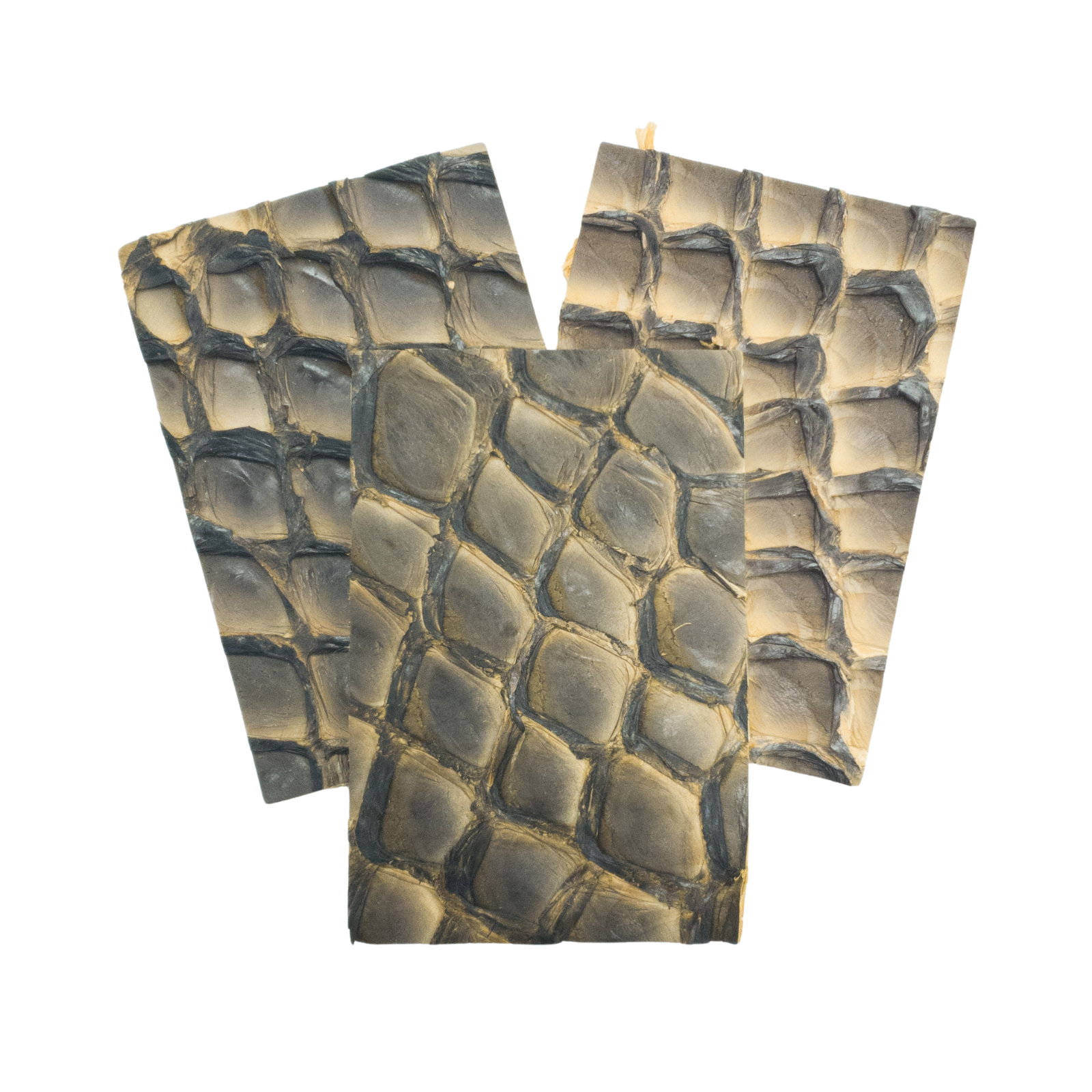 Pirarucu Amazon Bass , 5-7 oz, Nonstock Pre-cuts, Plank Light Brown / 4 x 6 | The Leather Guy