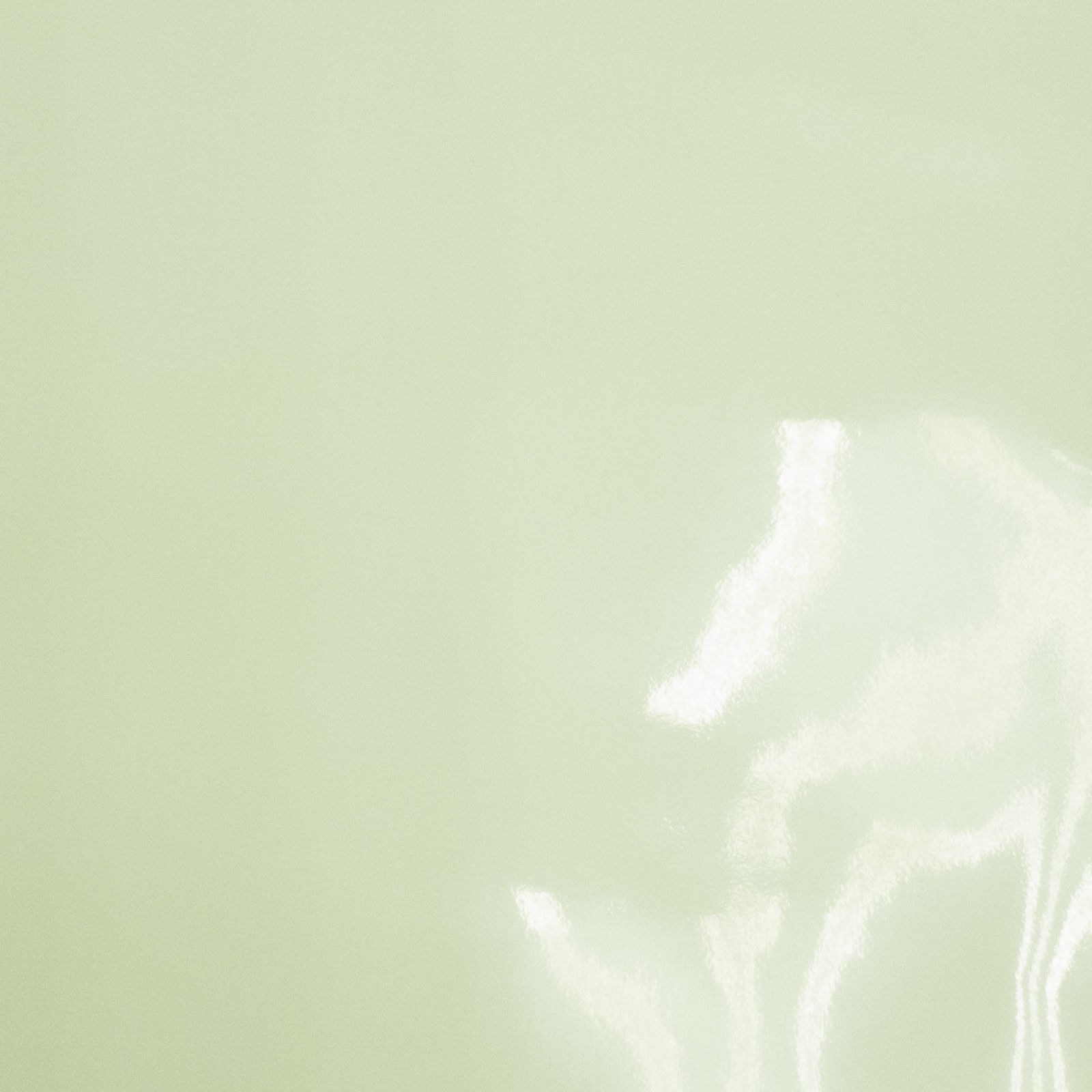 Solid Colors, Patent Cow Handbag Leather, Nonstock Precuts, Pastel Green / 8 x 10 | The Leather Guy