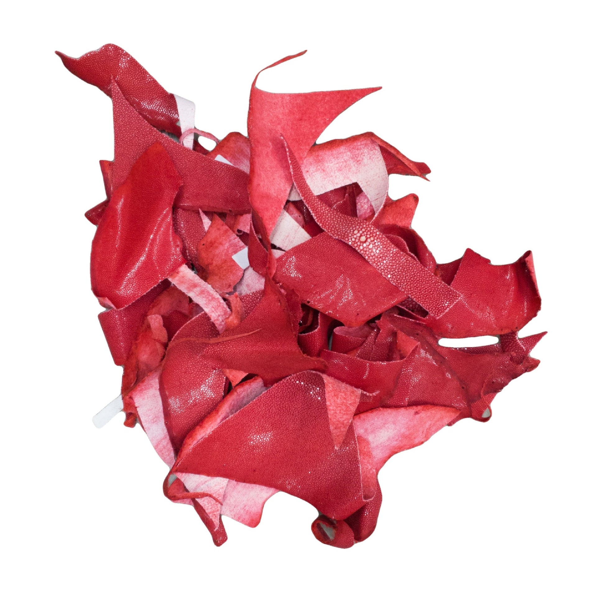 Stingray Leather Scraps & Remnants – Cream, 3–4 oz, Red / 1 lb | The Leather Guy