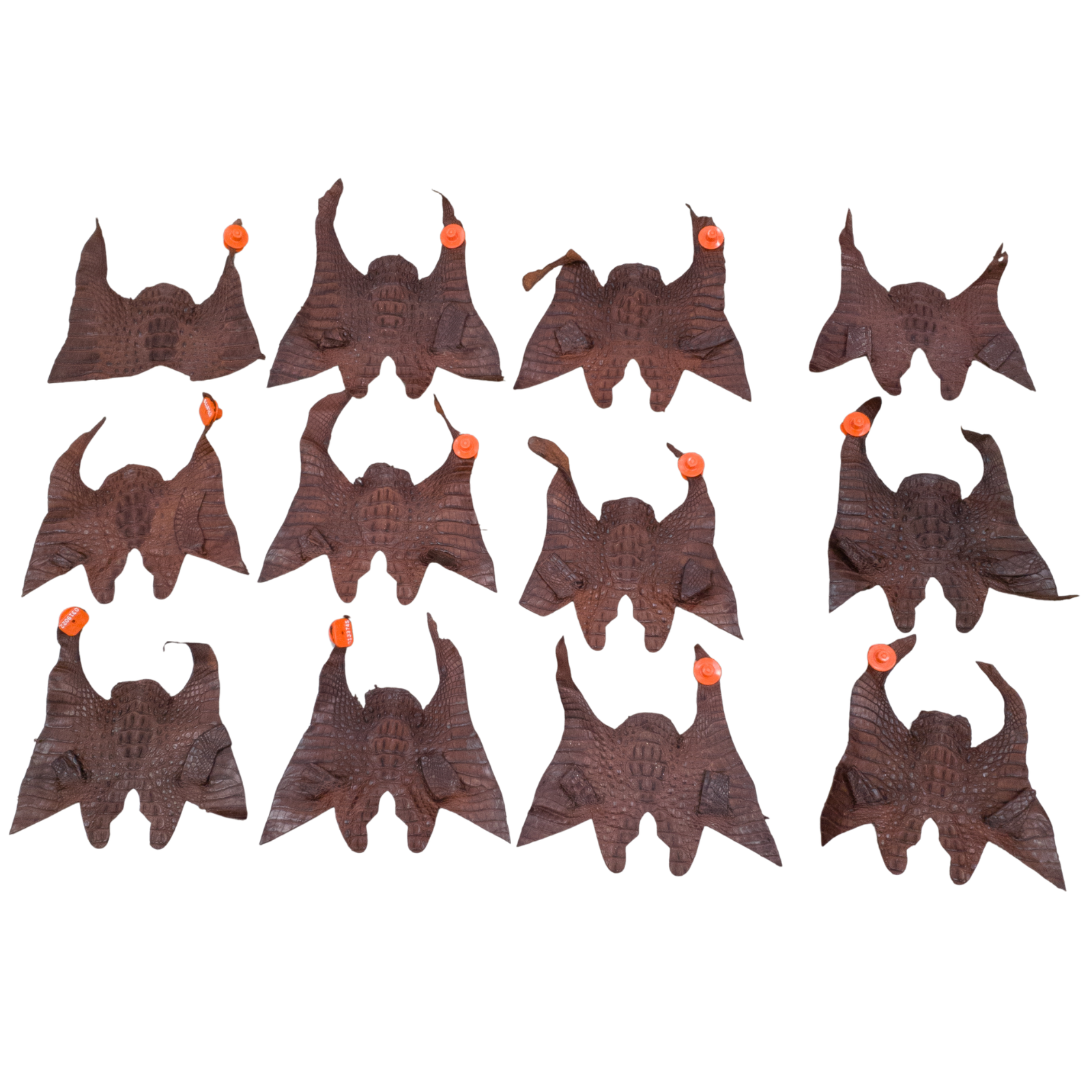 Caiman Project Piece Bundles, Various Colors Genuine Hide, Reddish Brown Crowns / 12 Pack / Large | The Leather Guy
