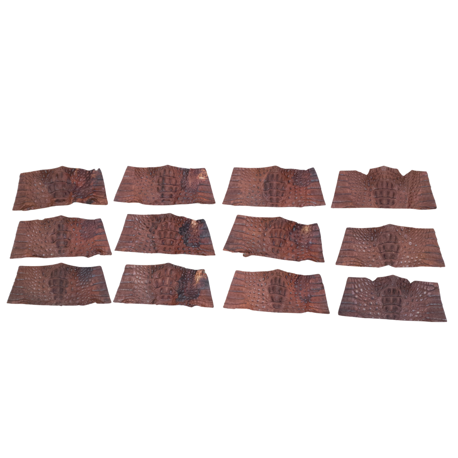 Caiman Project Piece Bundles, Various Colors Genuine Hide, Reddish Brown Crowns / 12 Pack / Small | The Leather Guy