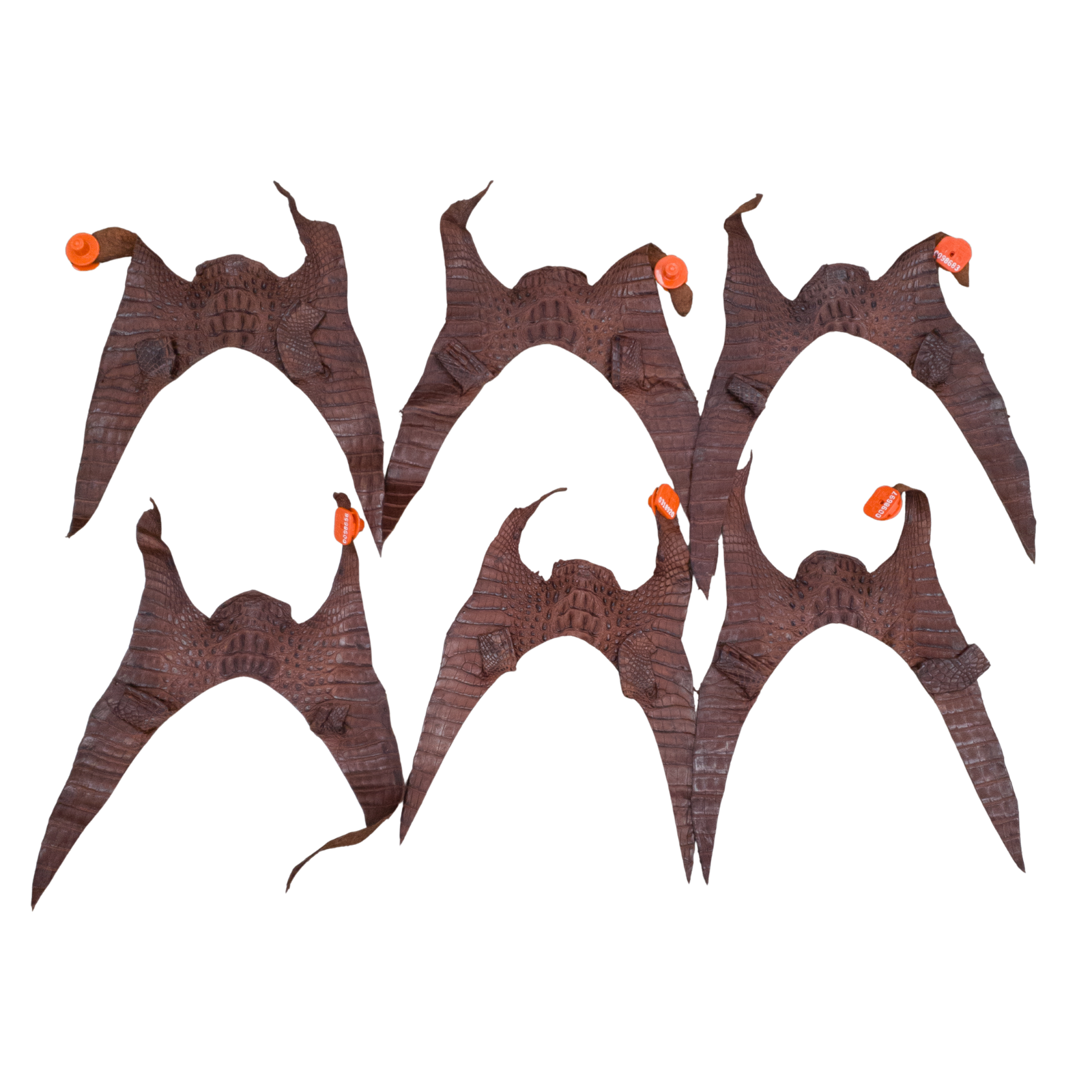 Caiman Project Piece Bundles, Various Colors Genuine Hide, Reddish Brown Strips / 6 Pack / Small | The Leather Guy