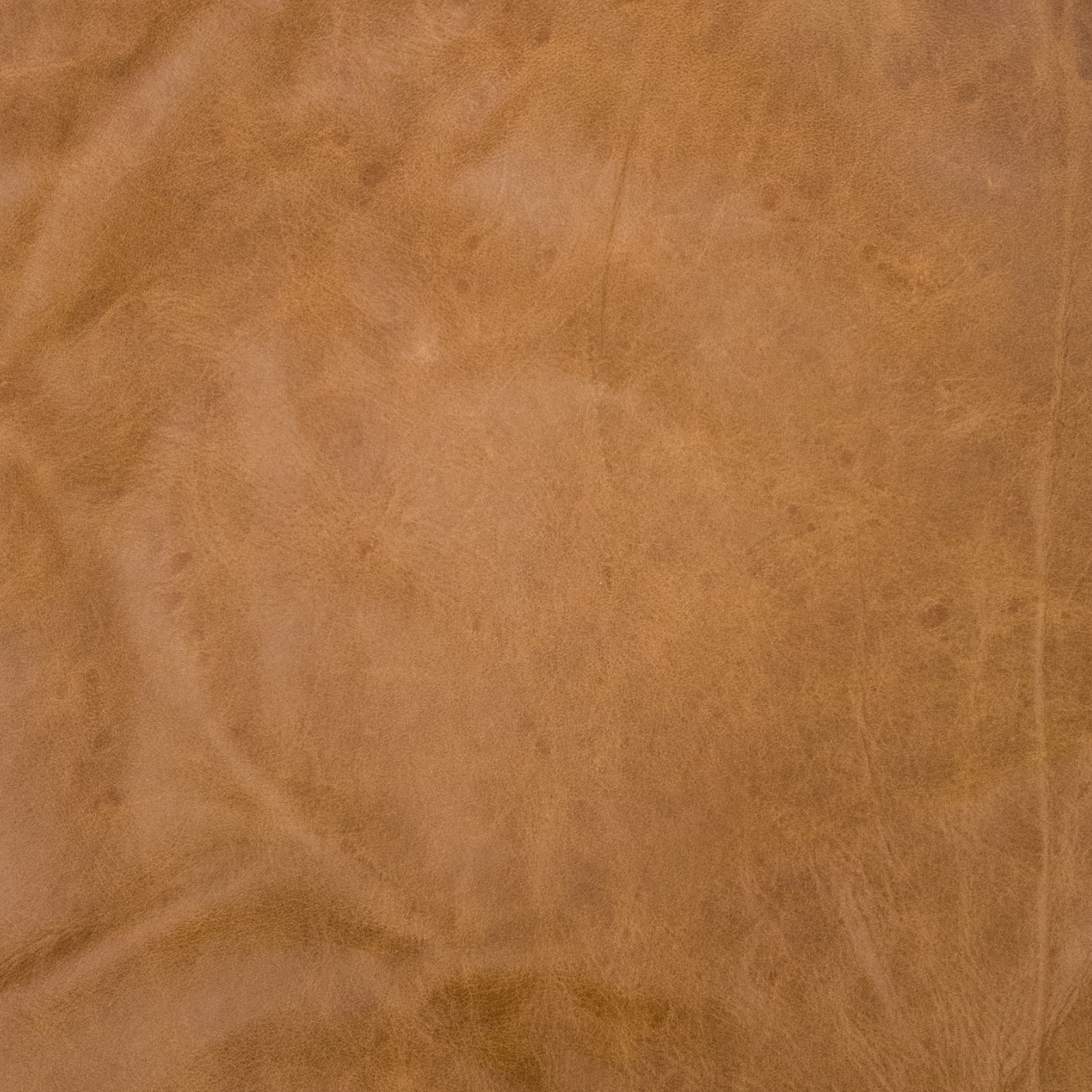 Upholstery Project Pieces Cowhide Leather – 2–4 oz Various Grain – Fits 14” & 19” Bar Stool Tops, Light-Medium Brown / 14 inches / Rustic Caramel | The Leather Guy