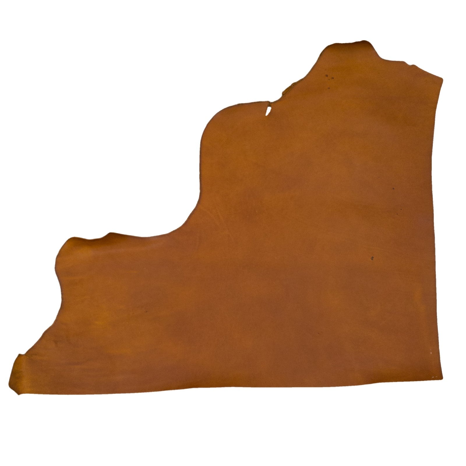 Harness (Houdini), SB Foot, Non-stock, 5-6oz, Oil Tanned Hides, Top Piece / 6.5 - 7.5 Sq Ft | The Leather Guy