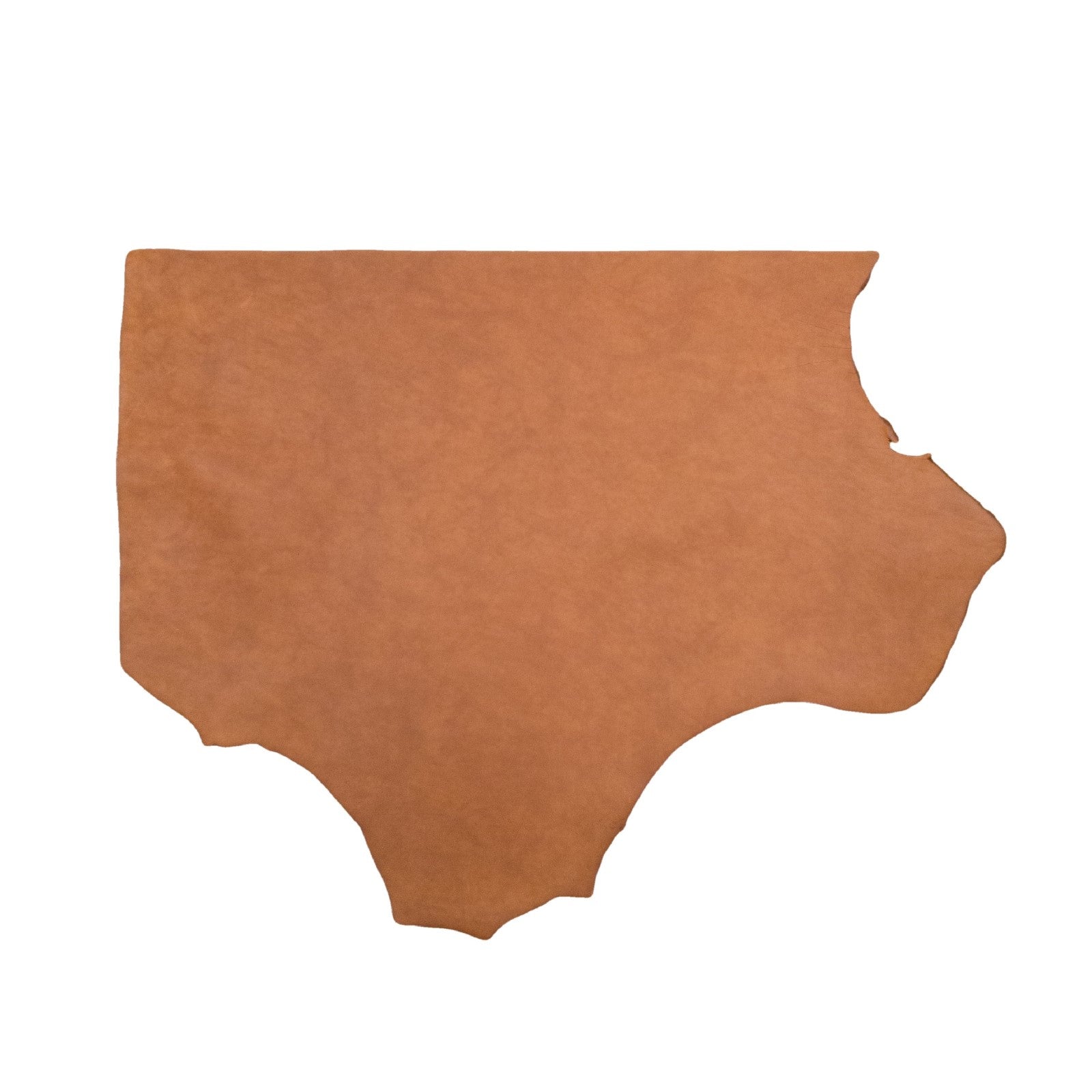 Taos (Oro), SB Foot, Non-stock, 5-6oz, Oil Tanned Hides, Bottom Piece / 6.5 - 7.5 Sq Ft | The Leather Guy