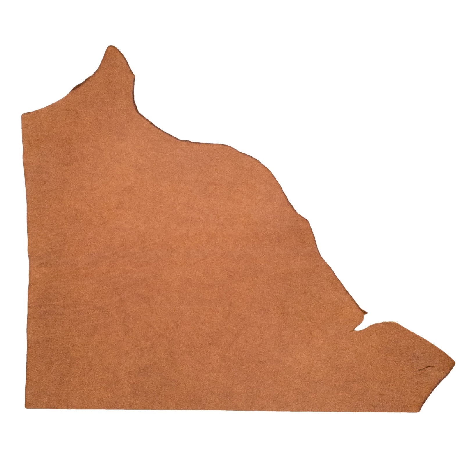 Taos (Oro), SB Foot, Non-stock, 5-6oz, Oil Tanned Hides, Top Piece / 6.5 - 7.5 Sq Ft | The Leather Guy