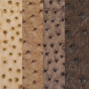 Genuine Ostrich Nonstock Pre-cuts, 3-5 oz, Various Colors, | The Leather Guy
