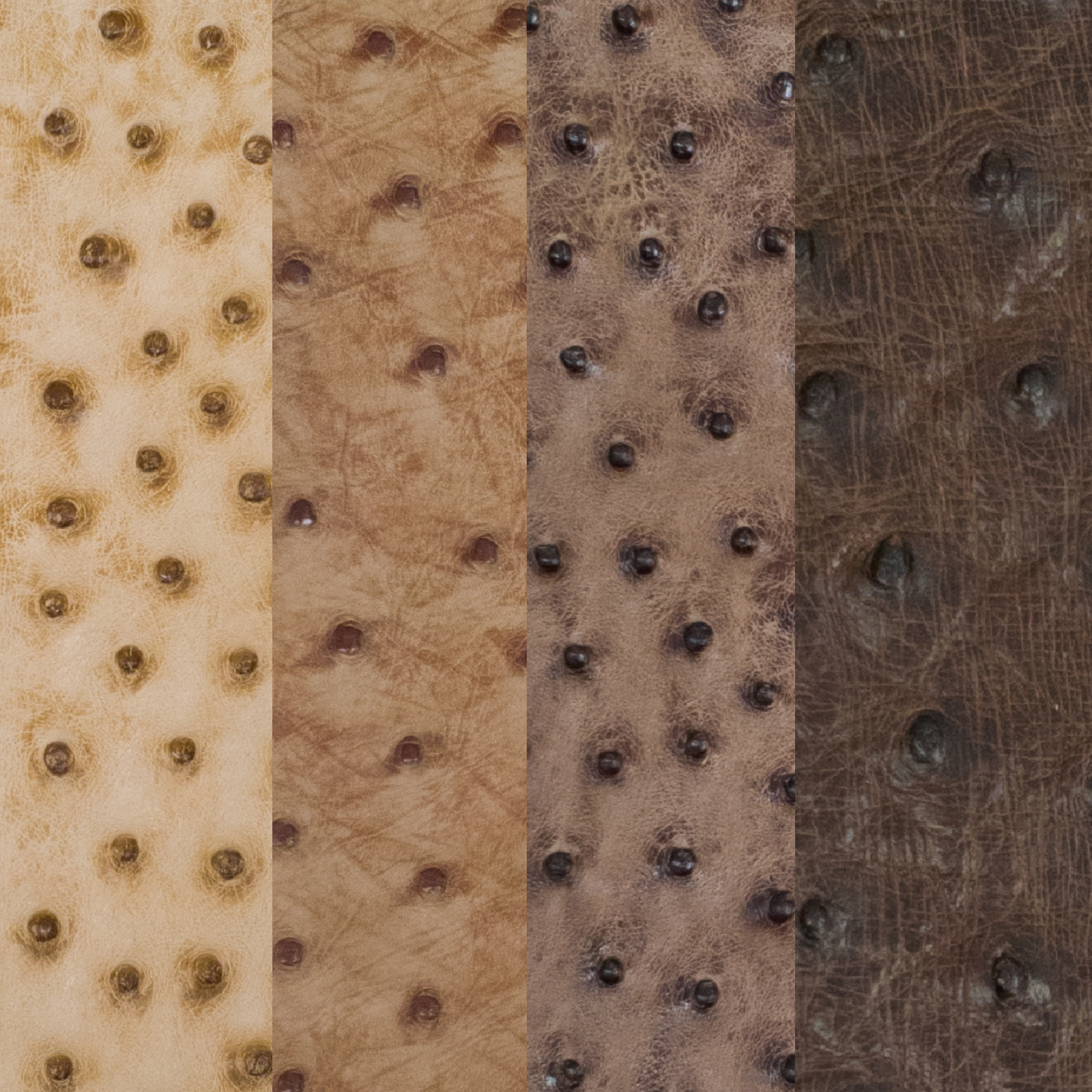 Genuine Ostrich Nonstock Pre-cuts, 3-5 oz, Various Colors, | The Leather Guy
