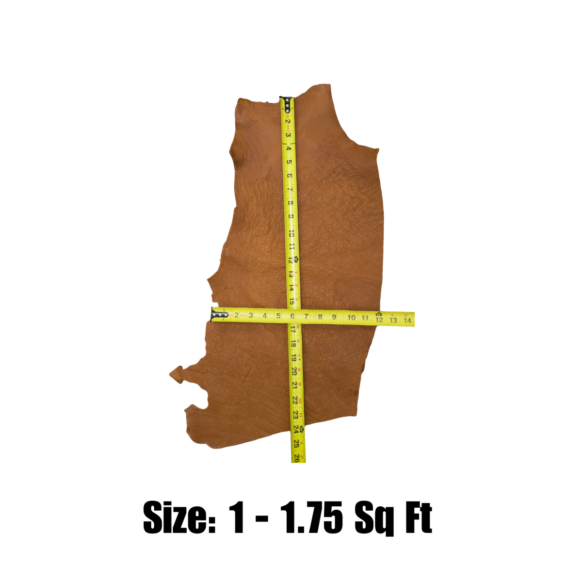 Genuine Ostrich, 0.5-2 Sq Ft, Project Pieces, Autumn Whiskey / Small | The Leather Guy