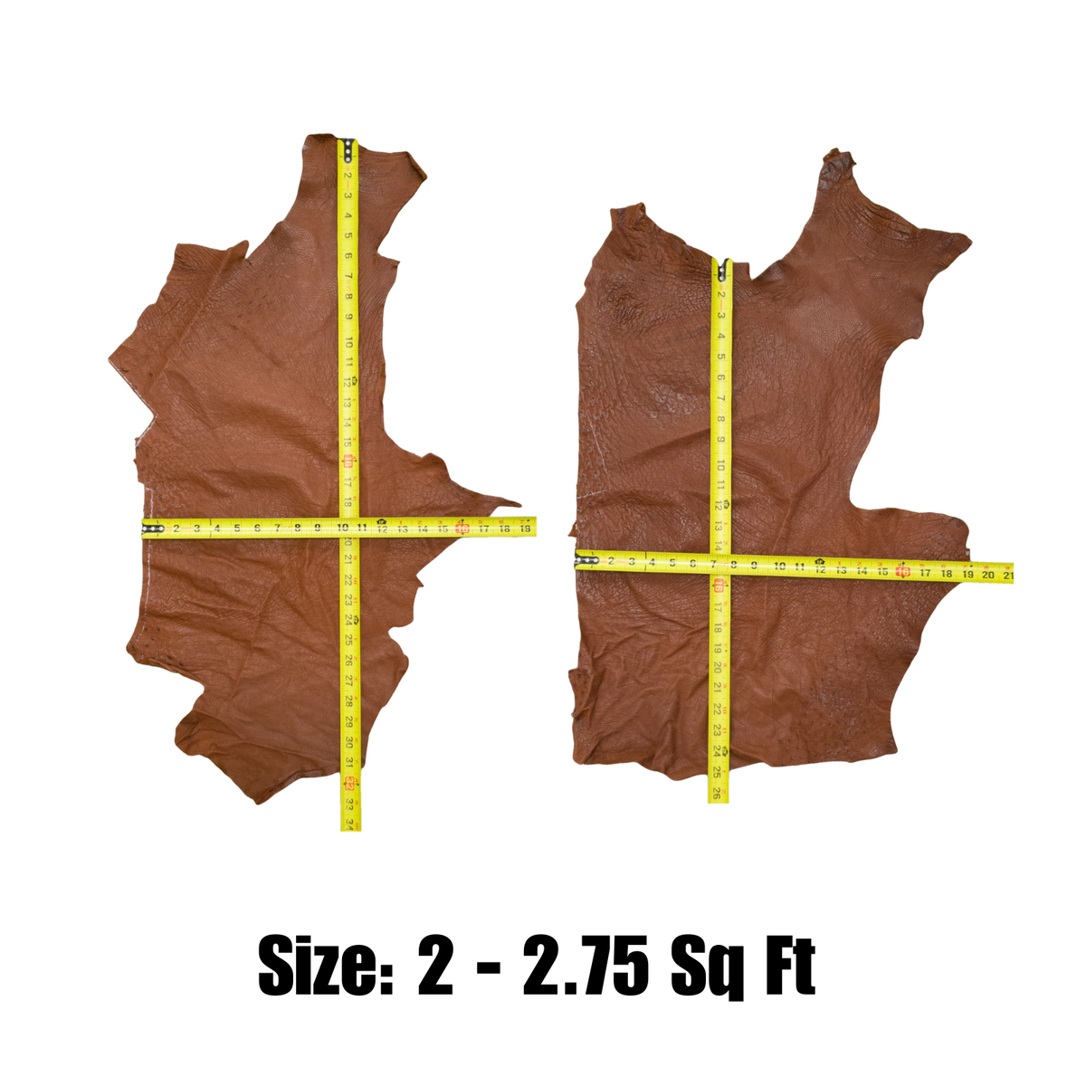 Genuine Ostrich, 0.5-2 Sq Ft, Project Pieces, October Blaze / Large | The Leather Guy
