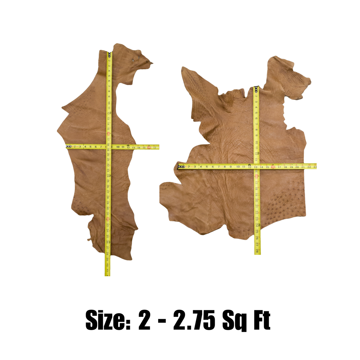 Genuine Ostrich, 0.5-2 Sq Ft, Project Pieces, Wasteland Brown / Large | The Leather Guy