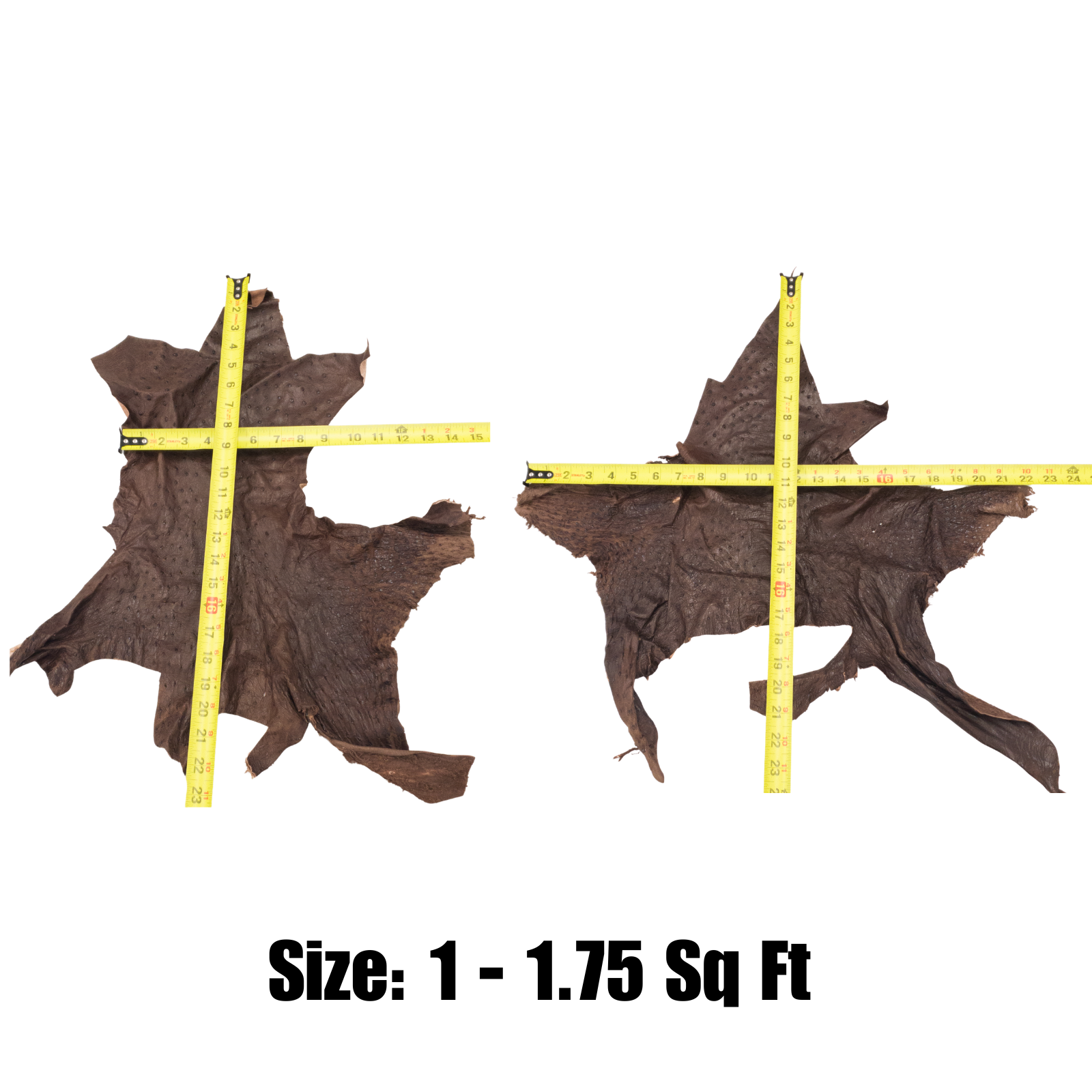 Genuine Ostrich, 0.5-2 Sq Ft, Project Pieces, Burnt Brown / Small | The Leather Guy