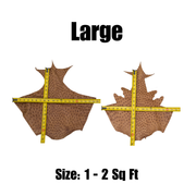 Genuine Ostrich, 0.5-2 Sq Ft, Project Pieces, Warm Caramel / Large | The Leather Guy