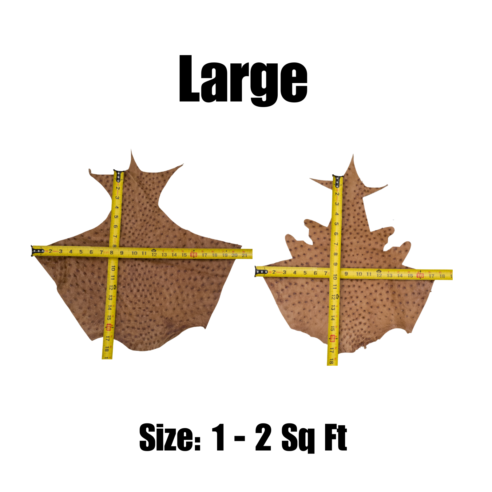 Genuine Ostrich, 0.5-2 Sq Ft, Project Pieces, Warm Caramel / Large | The Leather Guy