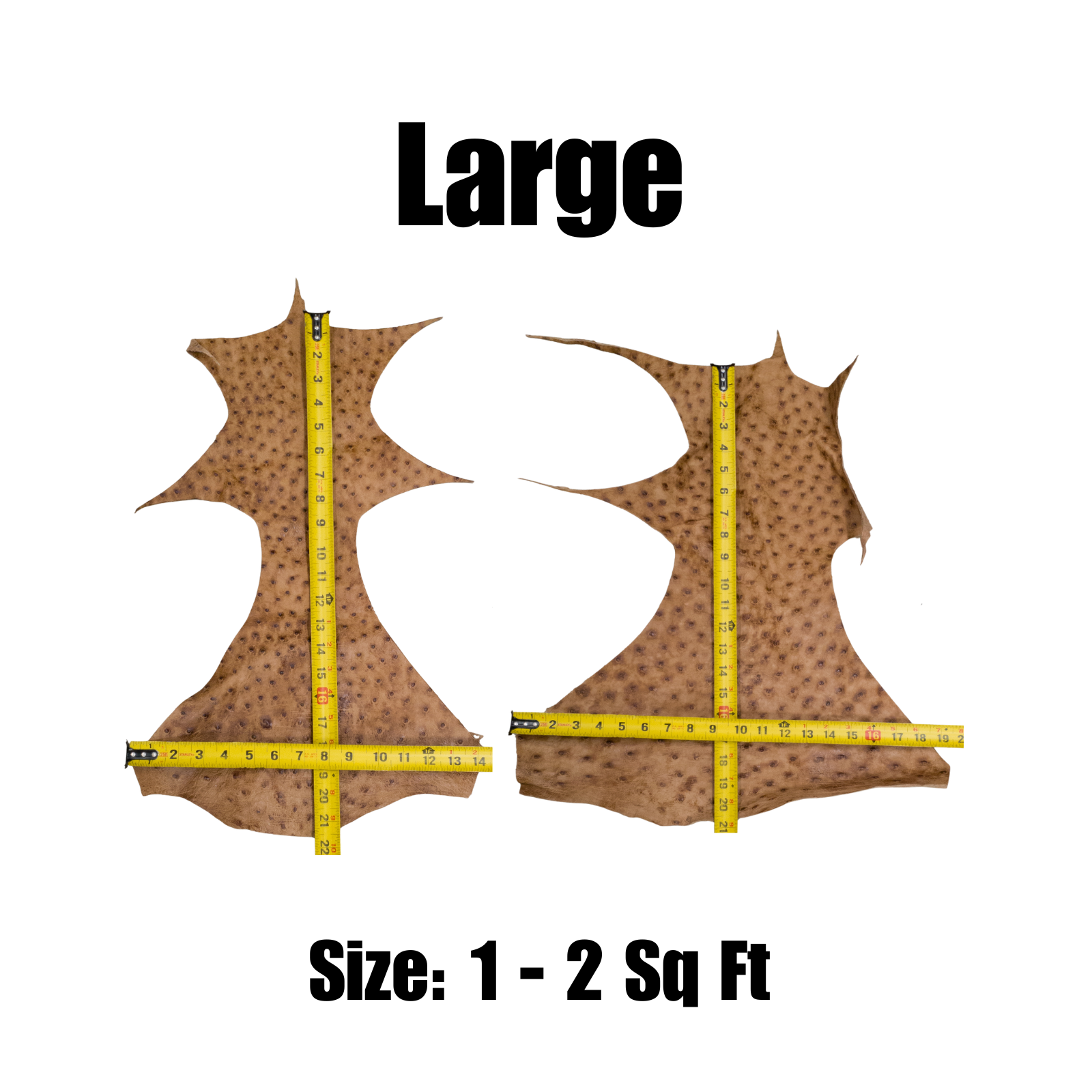Genuine Ostrich, 0.5-2 Sq Ft, Project Pieces, Warm Tan / Large | The Leather Guy
