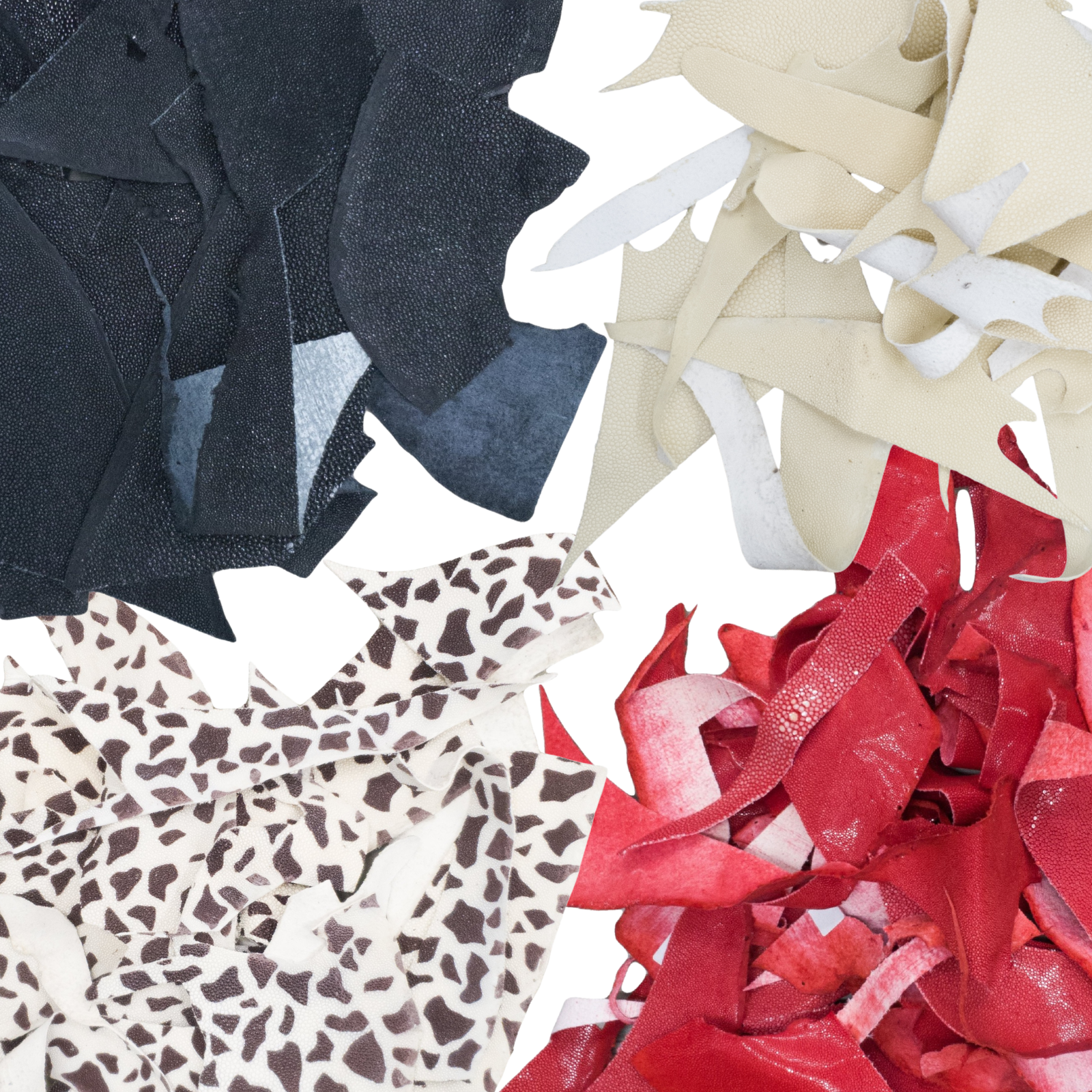 Stingray Leather Scraps & Remnants – Cream, 3–4 oz, | The Leather Guy