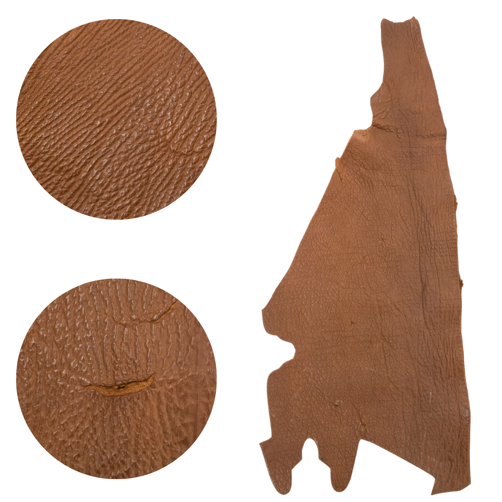 Genuine Shark Leather Tobacco Project Pieces, 3 - 5 oz, Small / Low Grade Side | The Leather Guy