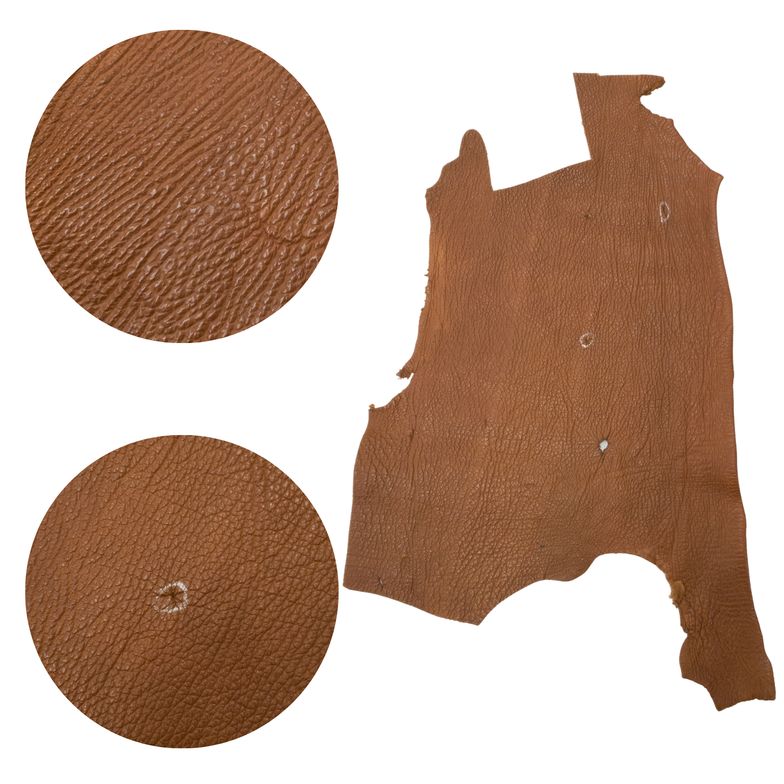 Genuine Shark Leather Tobacco Project Pieces, 3 - 5 oz, Small / Low Grade Middle | The Leather Guy