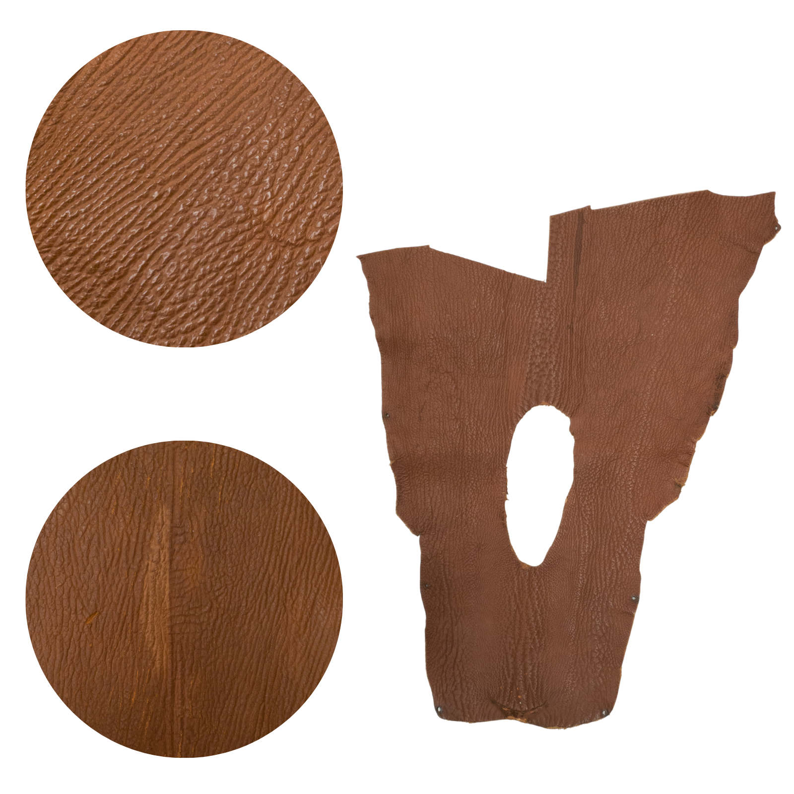 Genuine Shark Leather Tobacco Project Pieces, 3 - 5 oz, Small / Low Grade Body | The Leather Guy
