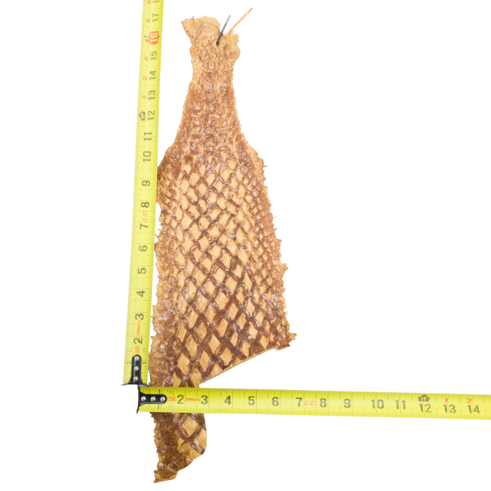 Pirarucu Amazon Bass Leather, Under 1 - 1 Sq Ft Project Pieces, Shiny Light Brown / Under 1 Sq Ft / 1 | The Leather Guy
