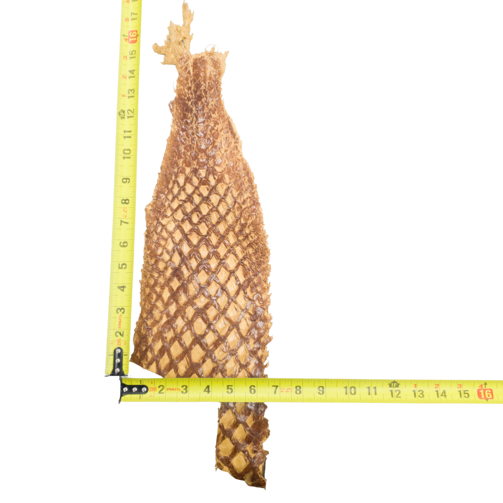 Pirarucu Amazon Bass Leather, Under 1 - 1 Sq Ft Project Pieces, Shiny Light Brown / Under 1 Sq Ft / 2 | The Leather Guy