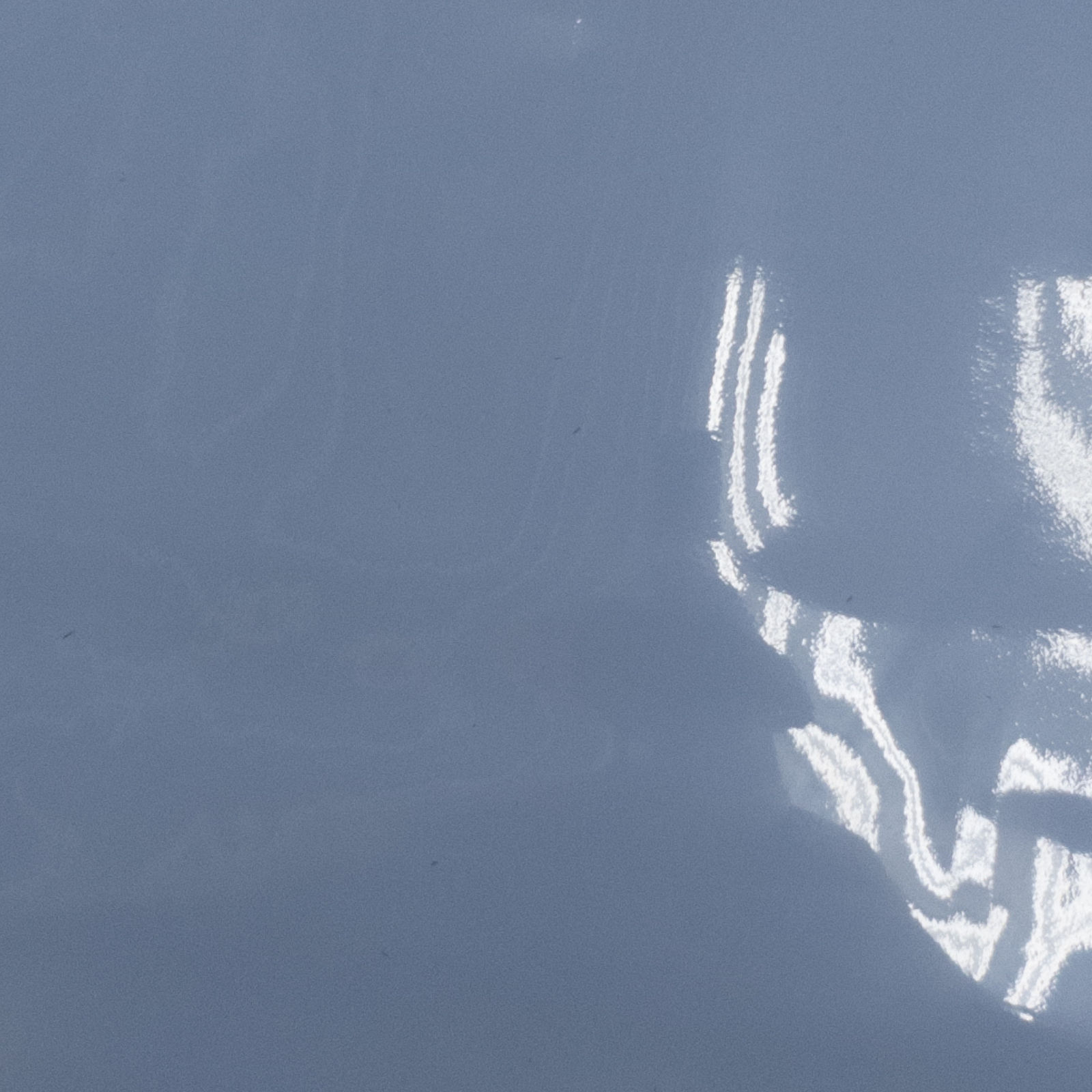 Solid Colors, Patent Cow Handbag Leather, Nonstock Precuts, Silent Sea Blue / 4 x 6 | The Leather Guy