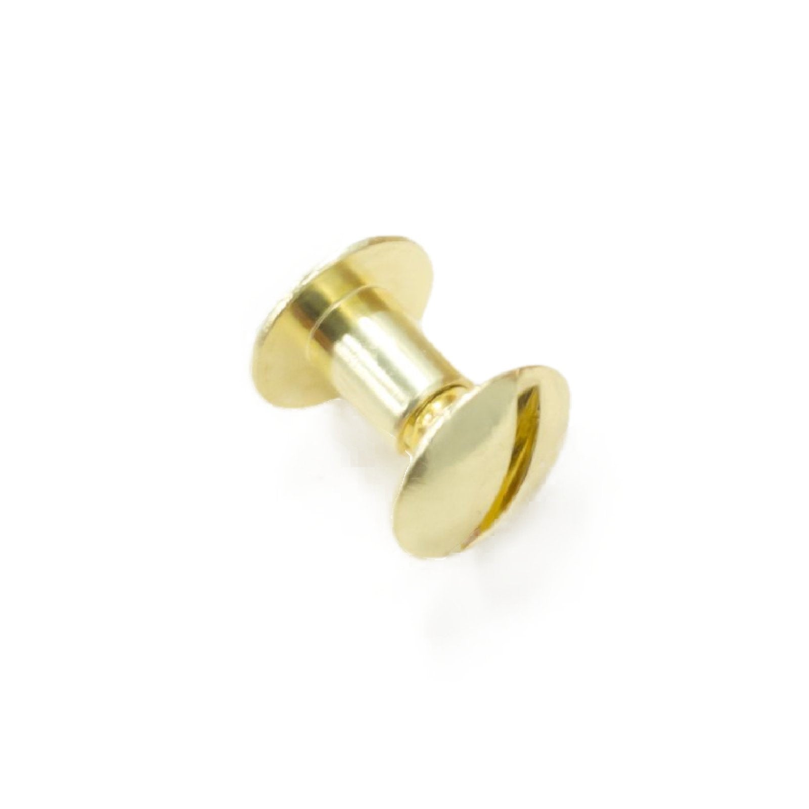 Chicago Screws, 6 mm/ 1/4", Brass / 1 Piece | The Leather Guy