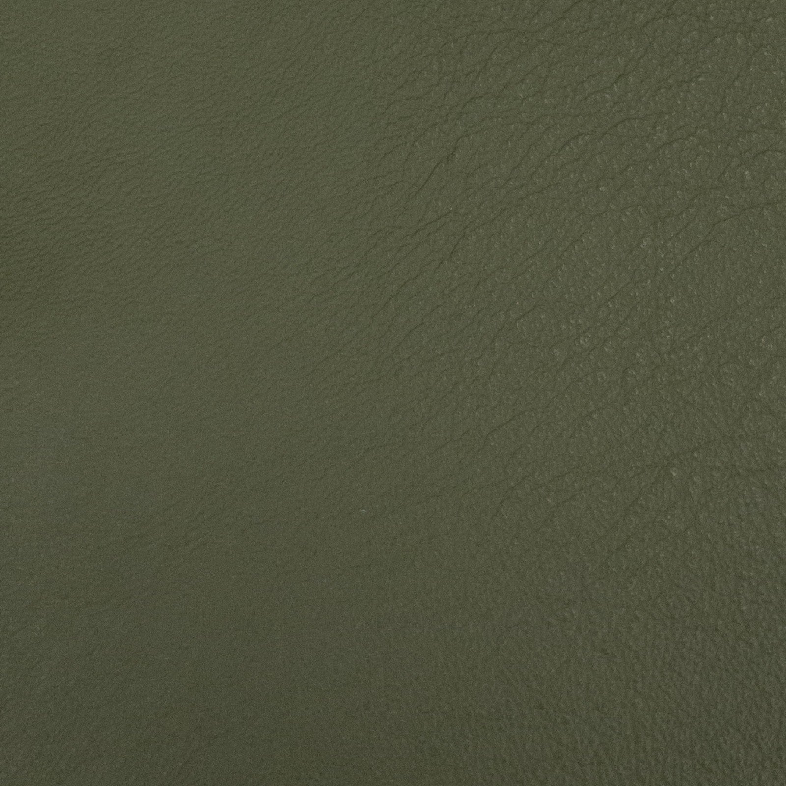 Fancy Fall, 1.5-3.5 oz Fashion, Limited Stock Pre-cuts, Slithering Green (2.5-3.5oz) / 4 x 6 | The Leather Guy