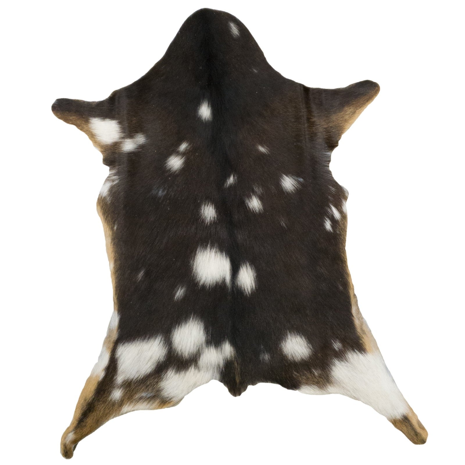 Spotted, Goatskin Rugs, 17 | The Leather Guy
