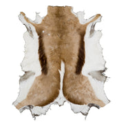 Natural, Springbok Hair-on Hides, Economy | The Leather Guy