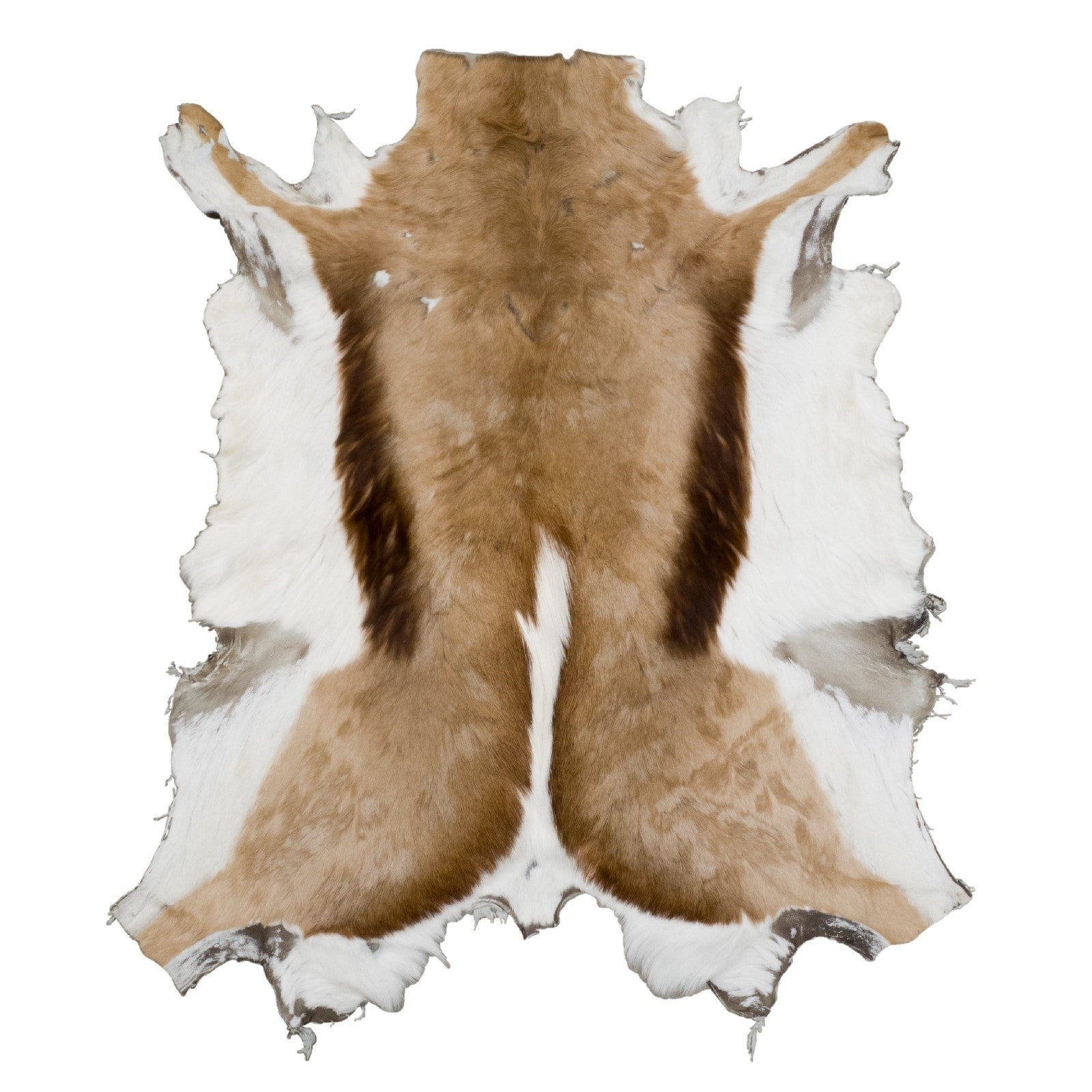 Natural, Springbok Hair-on Hides, Economy | The Leather Guy