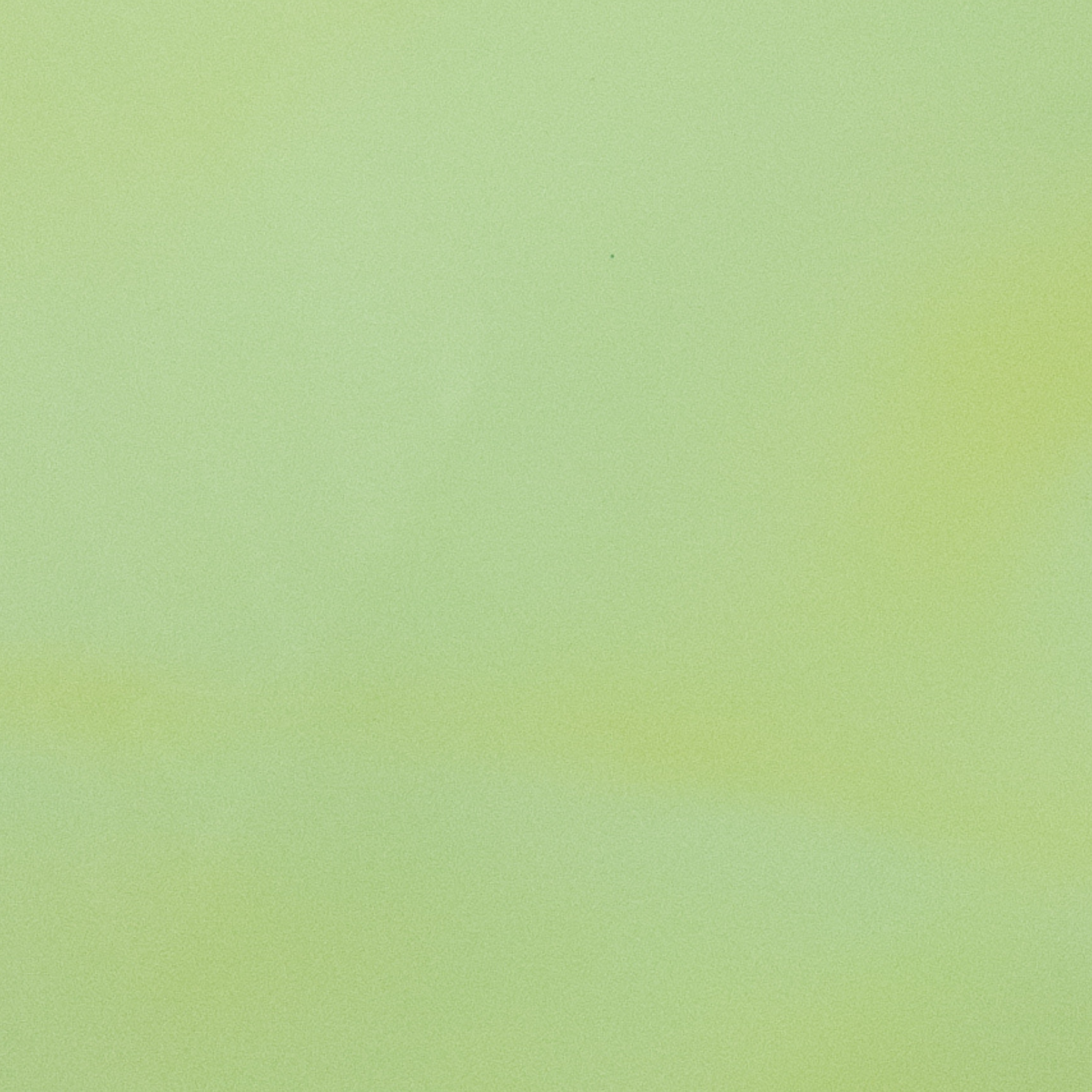 Solid Colors, Patent Cow Handbag Leather, Nonstock Precuts, Low-Grade Stained Glass Green / 8 x 10 | The Leather Guy