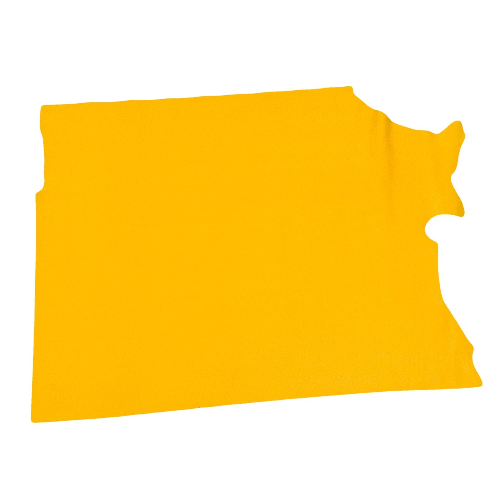 Chi-Town Mustard Yellow, Tried n True, 3-4 oz Leather Cow Hides, Middle Piece / 6.5 - 7.5 | The Leather Guy