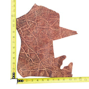 Genuine Elephant Nonstock Project Pieces, 4.5-5.5 oz, 0.5-1.5 Sq Ft, Toasty Red / > 1 Sq Ft / Hide 2 | The Leather Guy