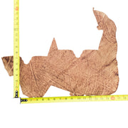 Genuine Elephant Nonstock Project Pieces, 4.5-5.5 oz, 0.5-1.5 Sq Ft, Toasty Red / 1 Sq Ft / Hide 1 | The Leather Guy