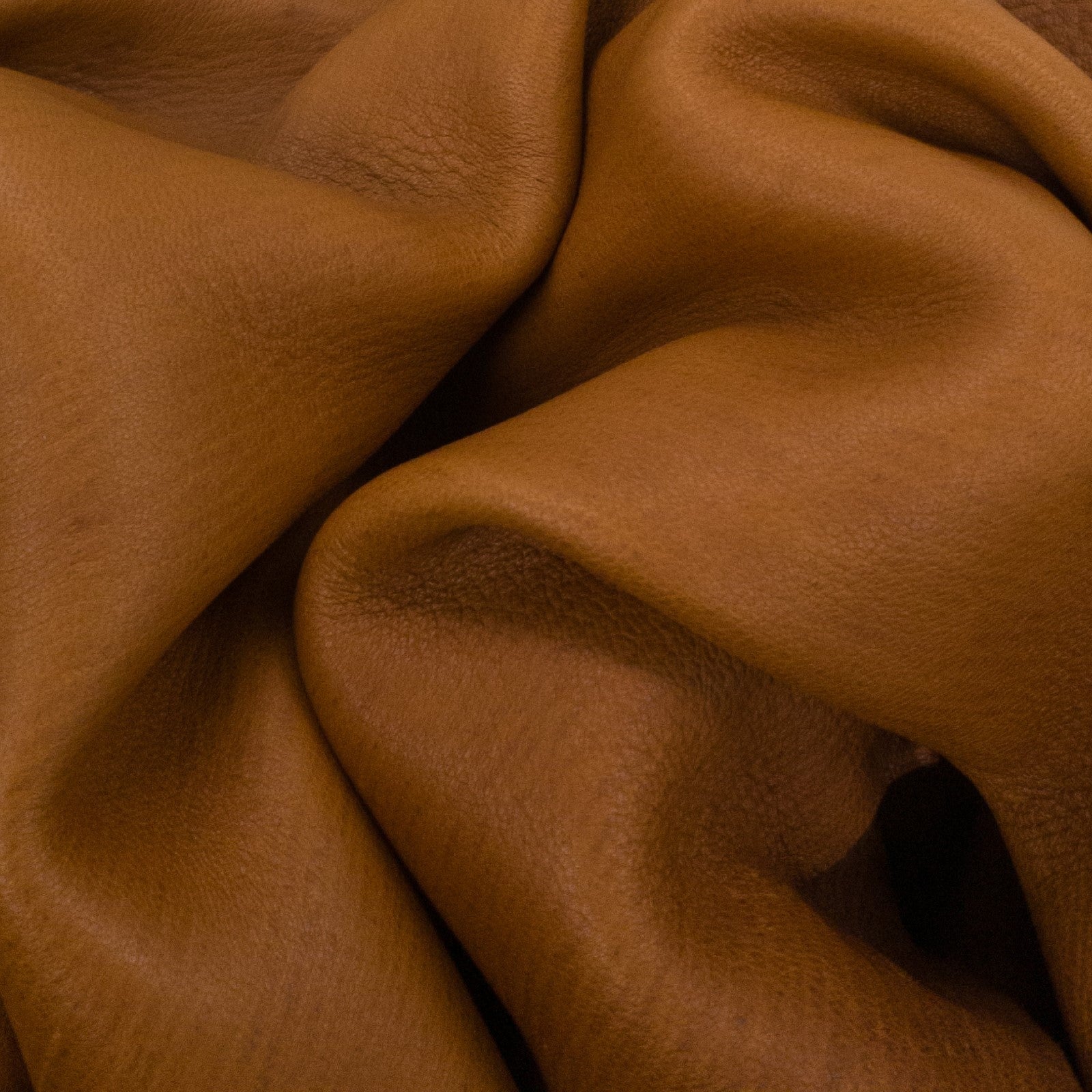 Upholstery Leather Hides – Buckskin Leather Company