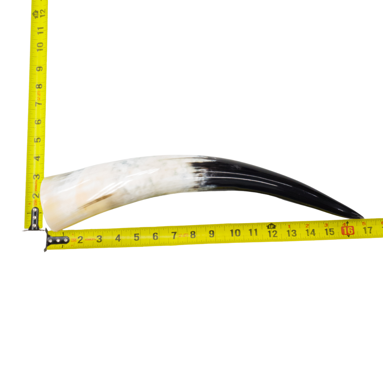 13" - 17" Single Polished Cow Horns, 4 (17") | The Leather Guy