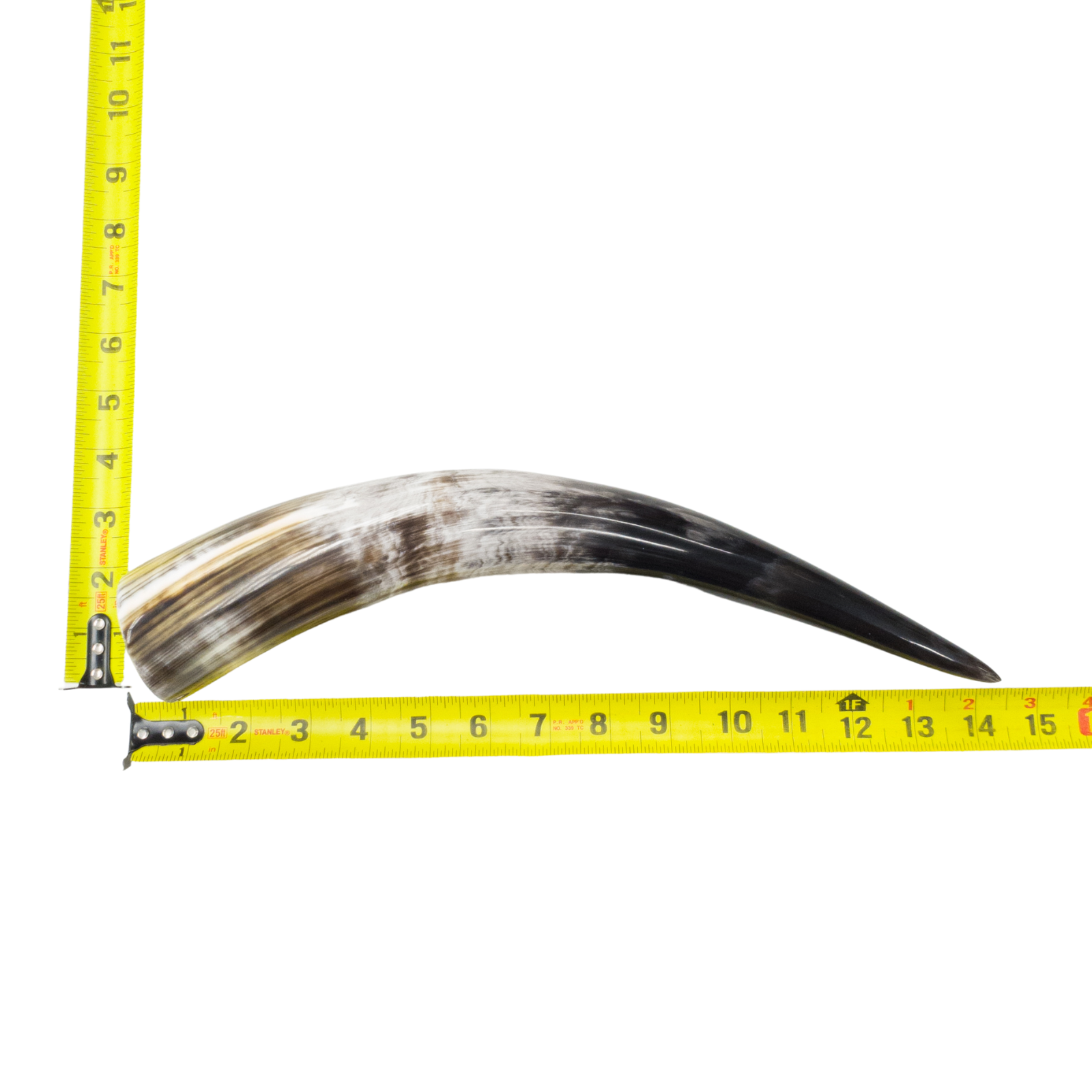 13" - 17" Single Polished Cow Horns, 9 (14") | The Leather Guy