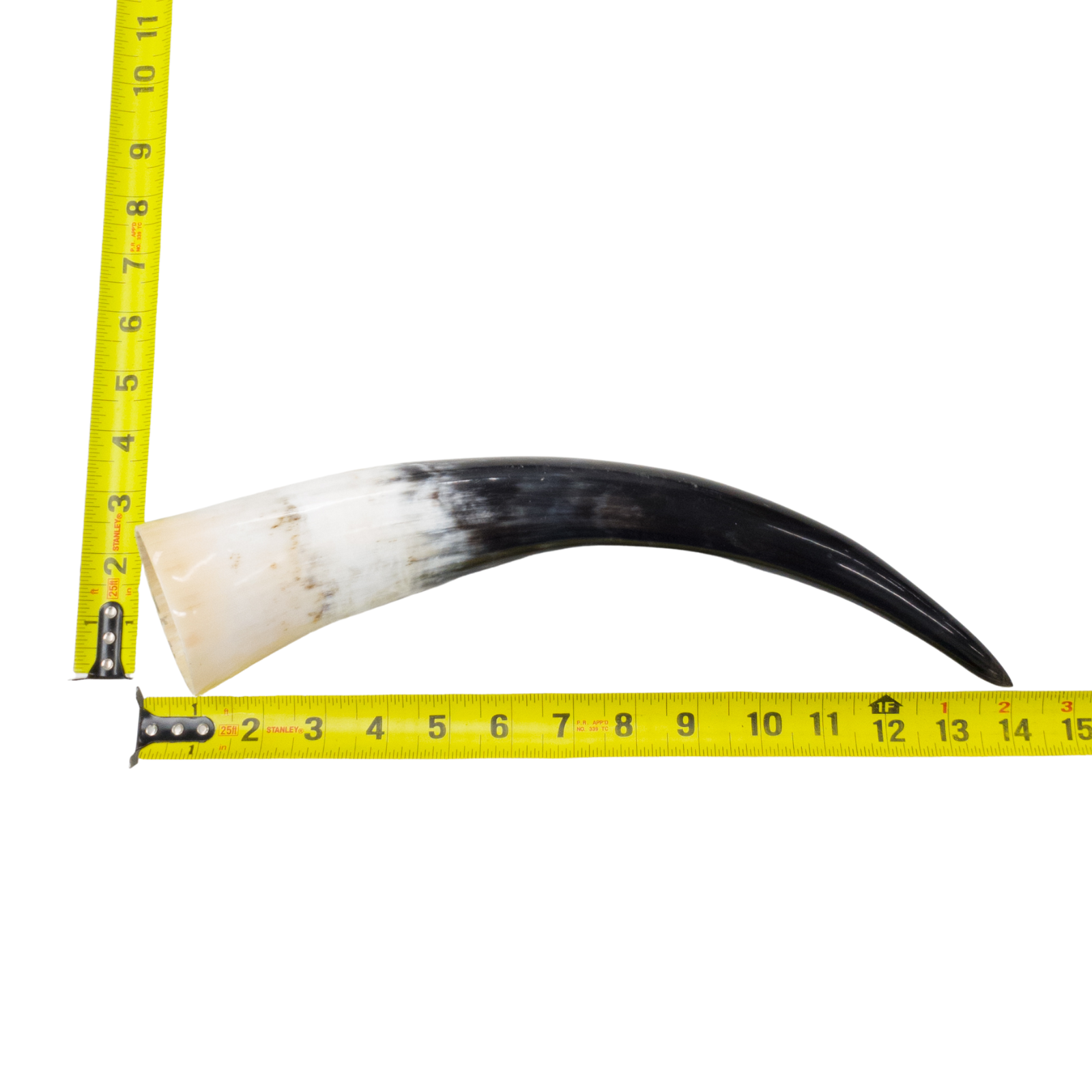 13" - 17" Single Polished Cow Horns, 19 (14") | The Leather Guy
