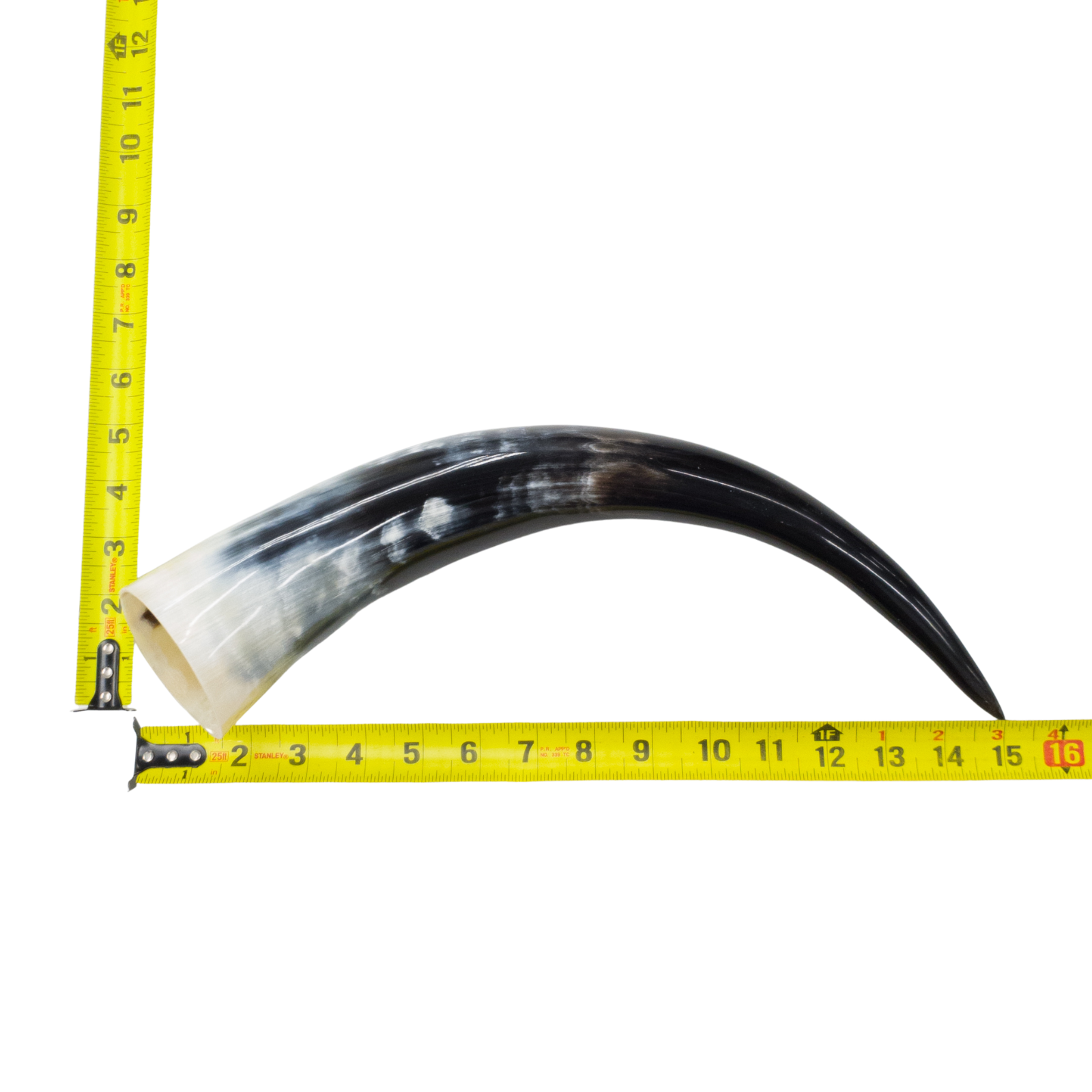 13" - 17" Single Polished Cow Horns, 20 (15") | The Leather Guy