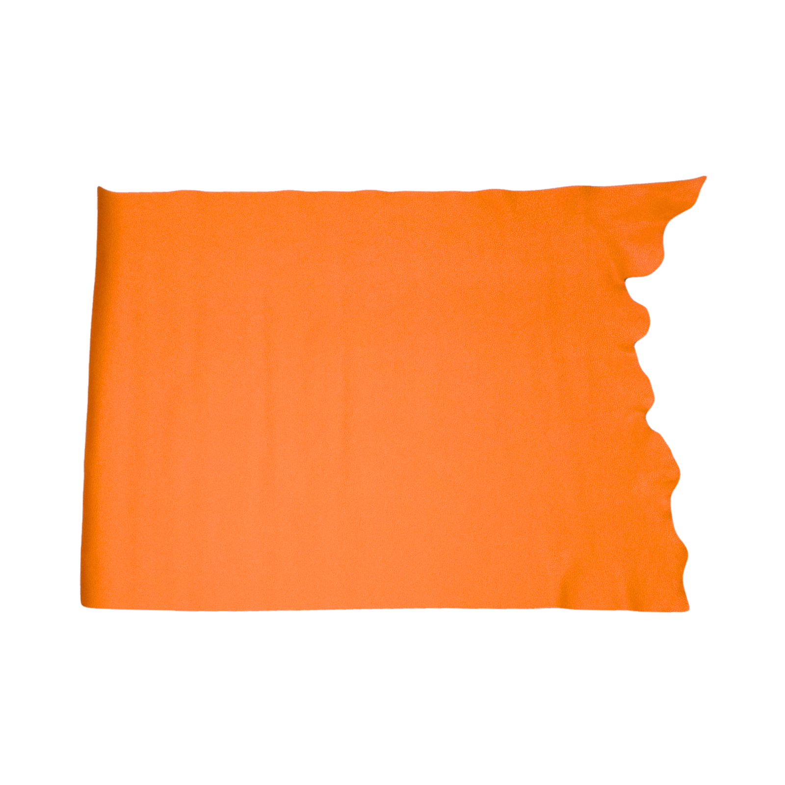 Orange Cowhide Leather – Pebble Grain 3–4 oz | Valencia Orange, Middle Piece / 6.5 - 7.5 | The Leather Guy