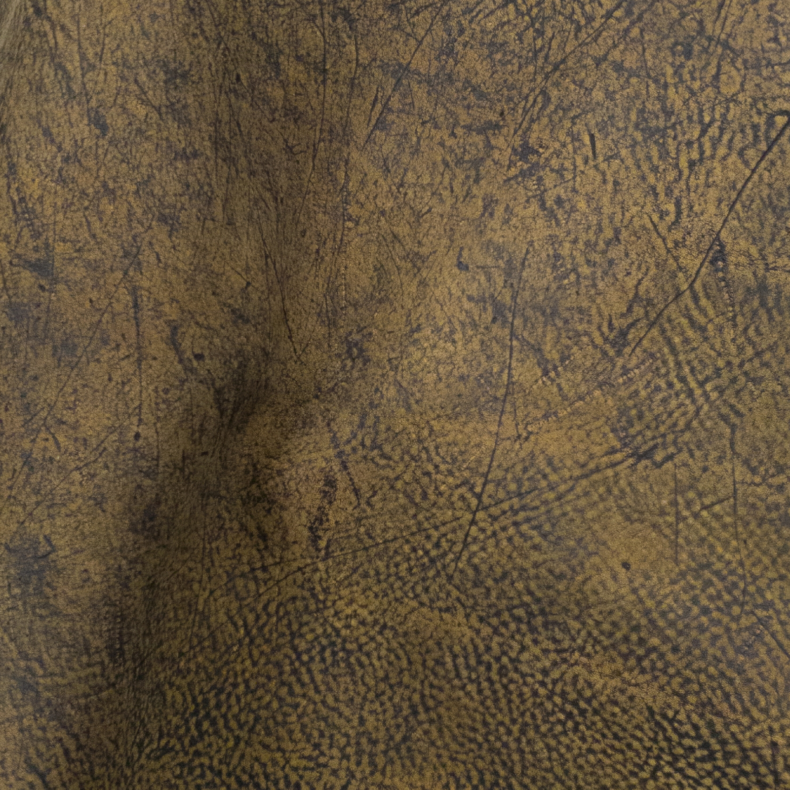 Genuine Giraffe Leather Hides, Antique Saddle Safari Non-Stock, 4
