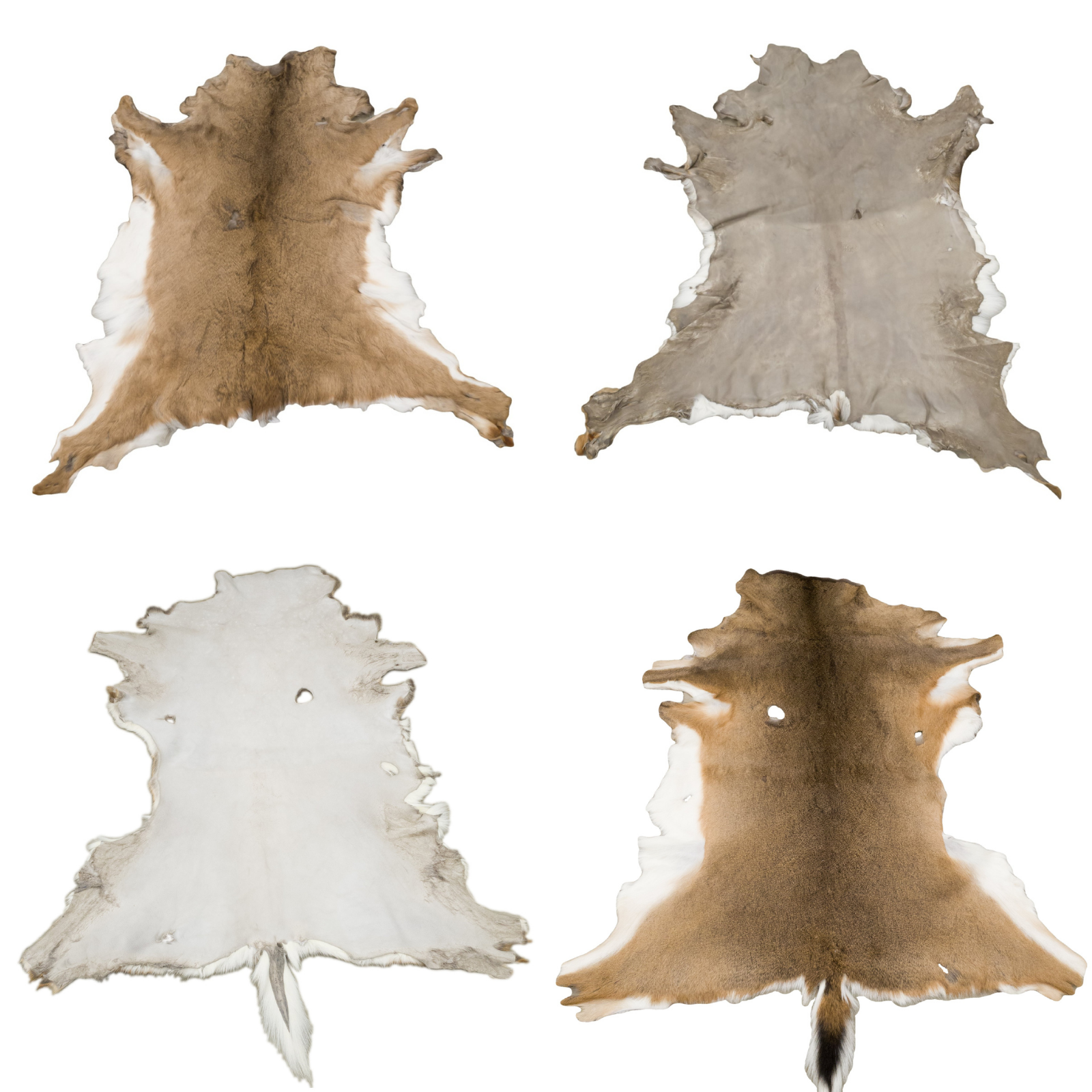 Hair on Deerskin Rugs, White-tail - Thumbnail 2