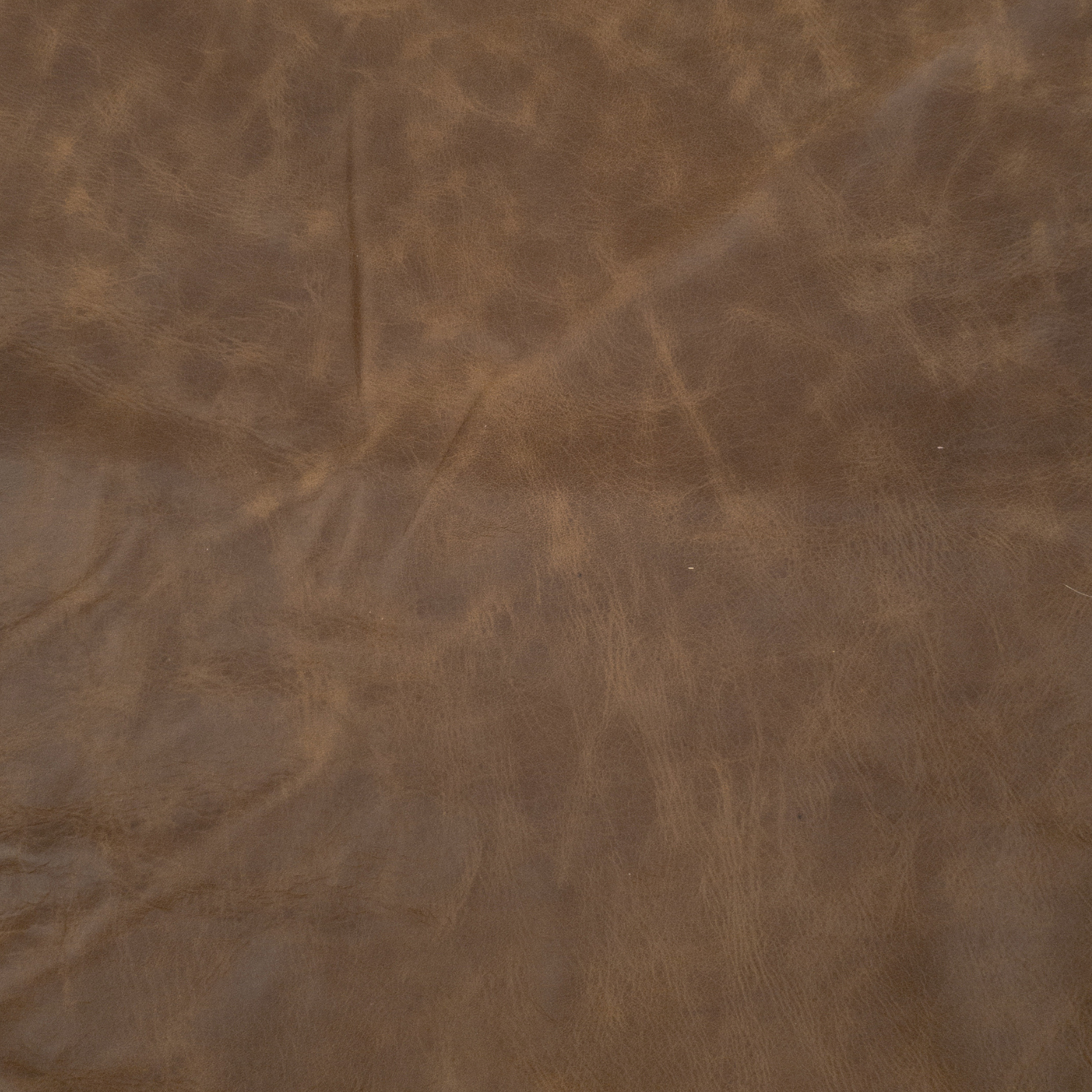 Upholstery Project Pieces Cowhide Leather – 2–4 oz Various Grain – Fits 14” & 19” Bar Stool Tops, Light-Medium Brown / 14 inches / Winter Walnut | The Leather Guy