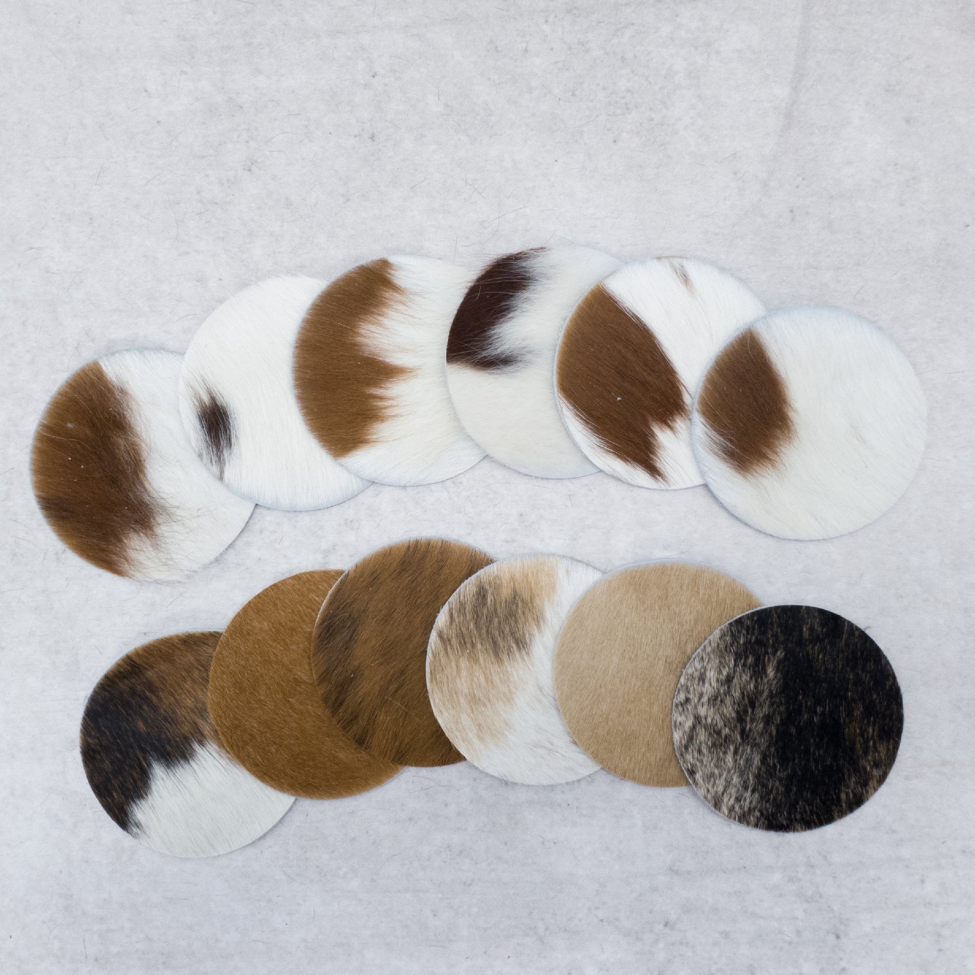 6pk Hair on Cow, Western Coaster Set, Round / Brown and White / 12 pk | The Leather Guy