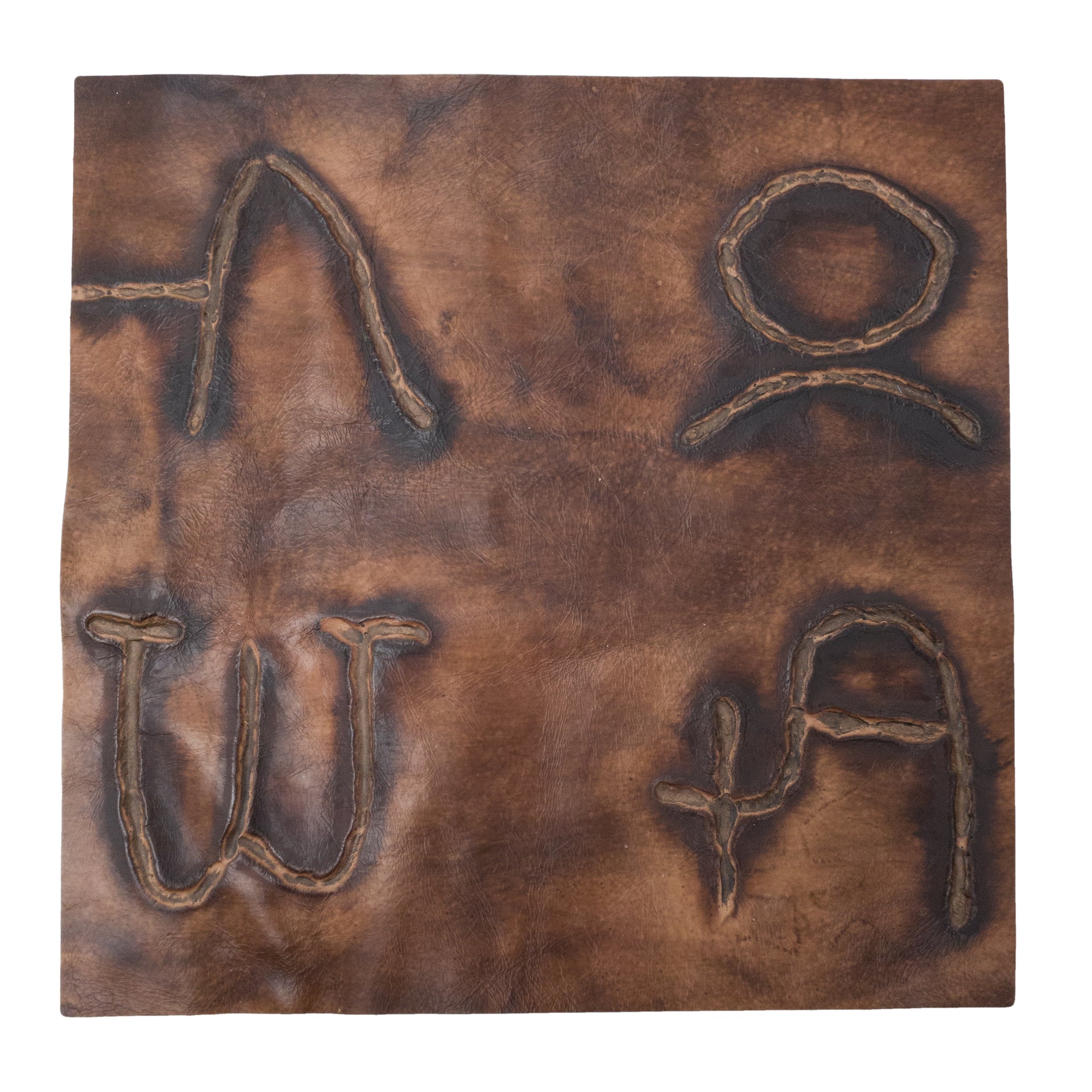 Embossed Branded Cowhide Leather Precuts, 12 x 12 / 3 | The Leather Guy