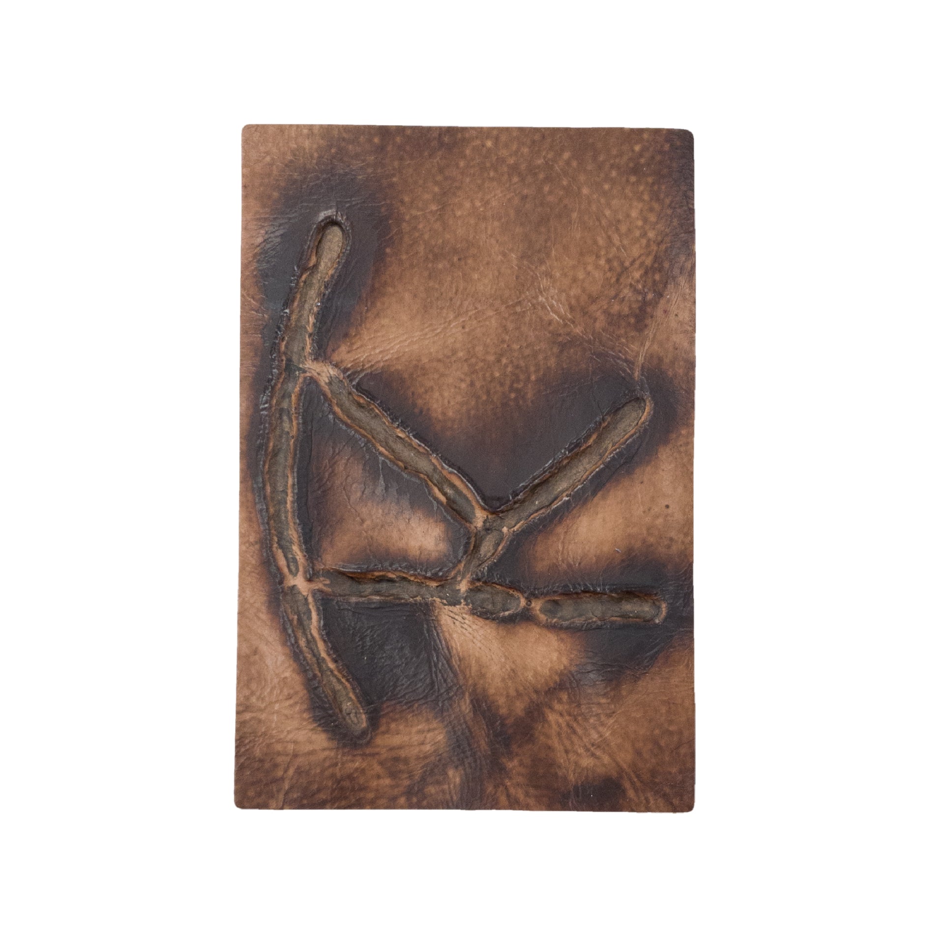 Embossed Branded Cowhide Leather Precuts, 4 x 6 / 5 | The Leather Guy